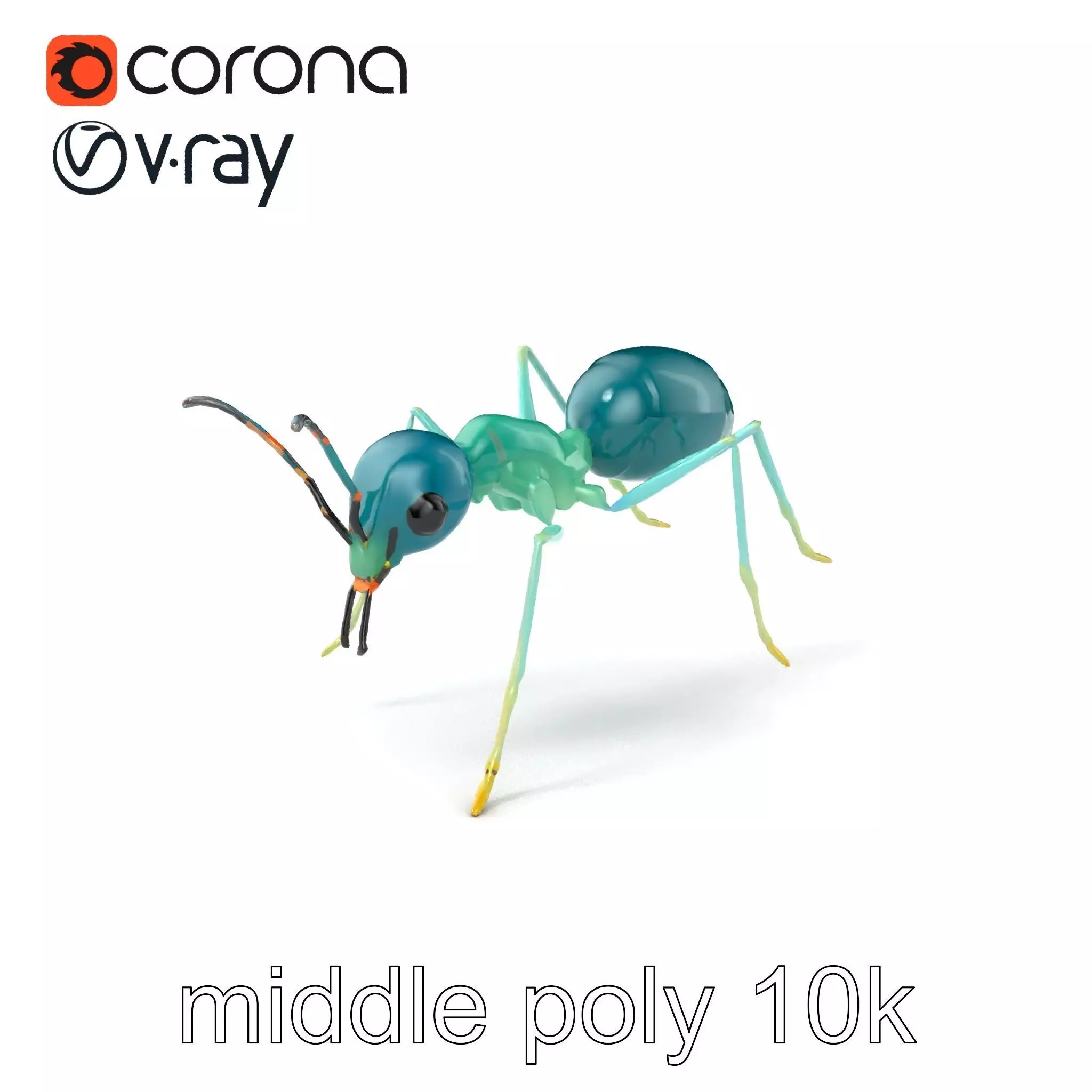 Aquamarine Water Ant Smooth Model Pack Low-poly 3D model_0