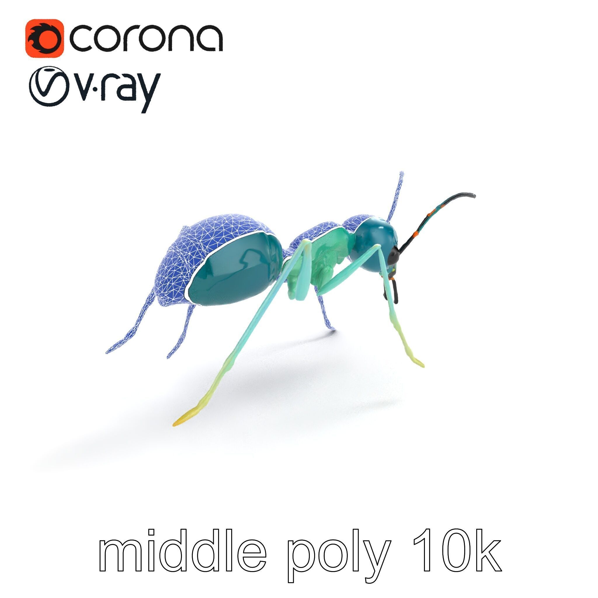 Aquamarine Water Ant Smooth Model Pack Low-poly 3D model_11