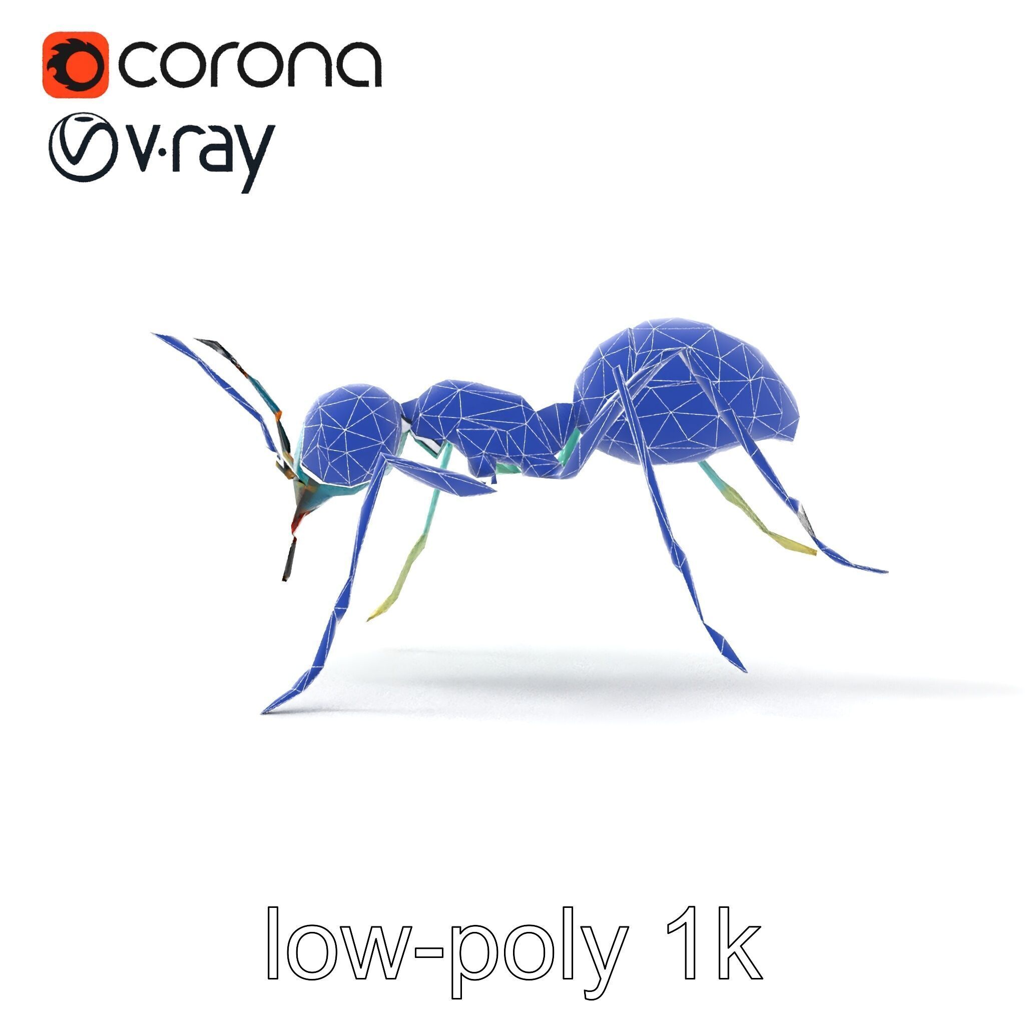 Aquamarine Water Ant Smooth Model Pack Low-poly 3D model_22