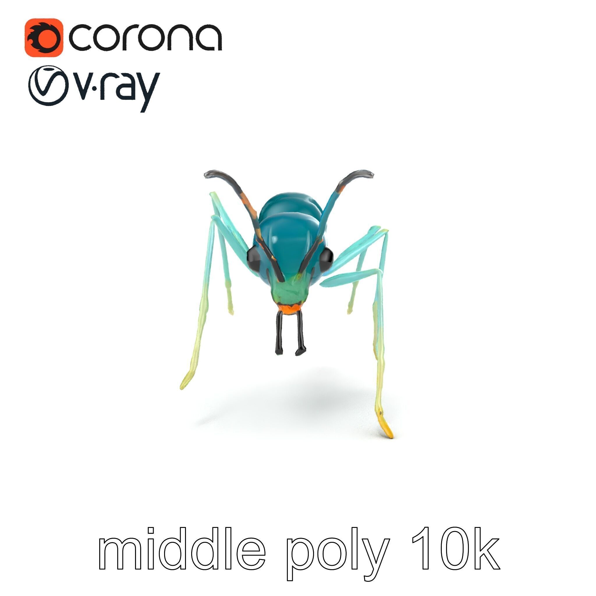 Aquamarine Water Ant Smooth Model Pack Low-poly 3D model_16