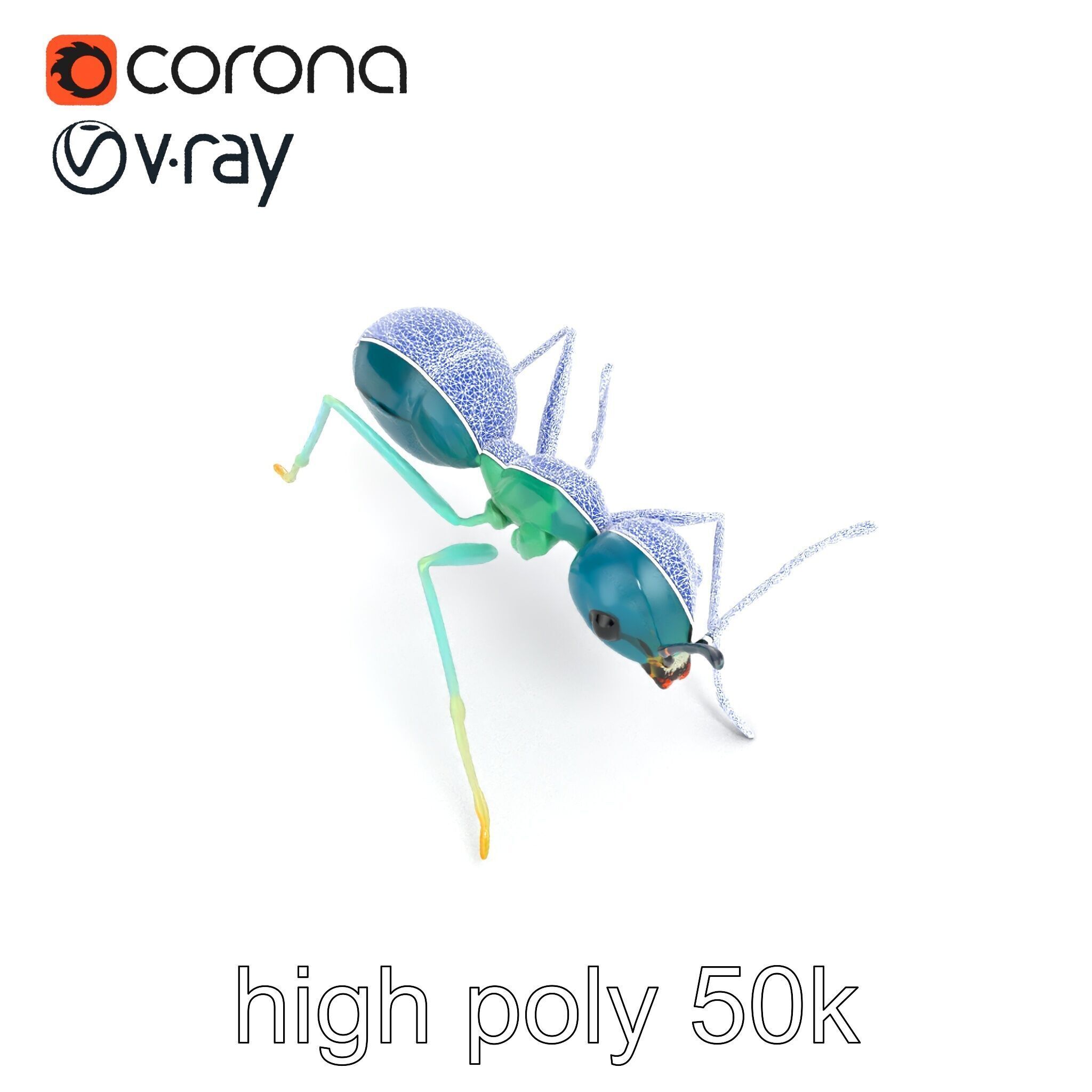 Aquamarine Water Ant Smooth Model Pack Low-poly 3D model_29