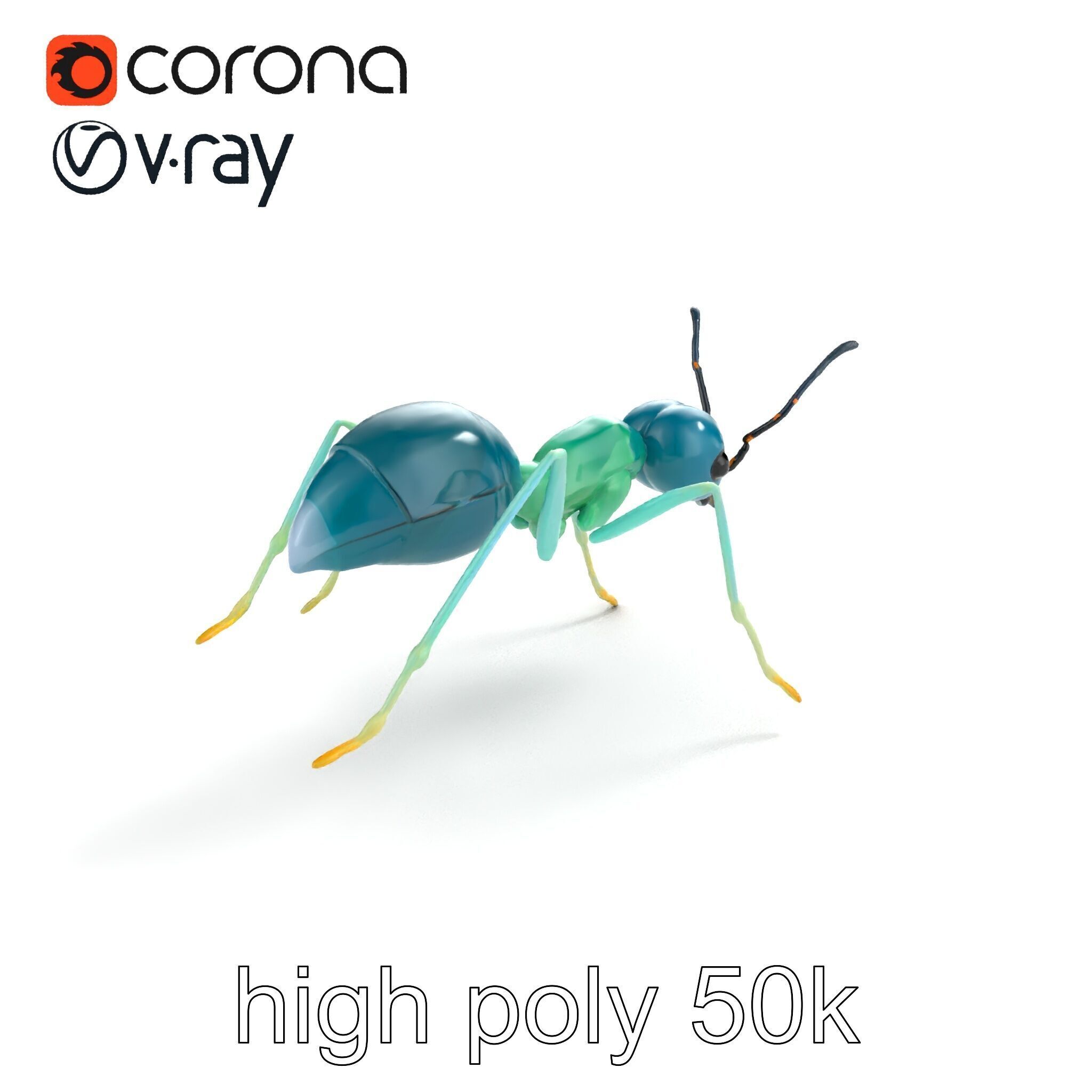 Aquamarine Water Ant Smooth Model Pack Low-poly 3D model_19