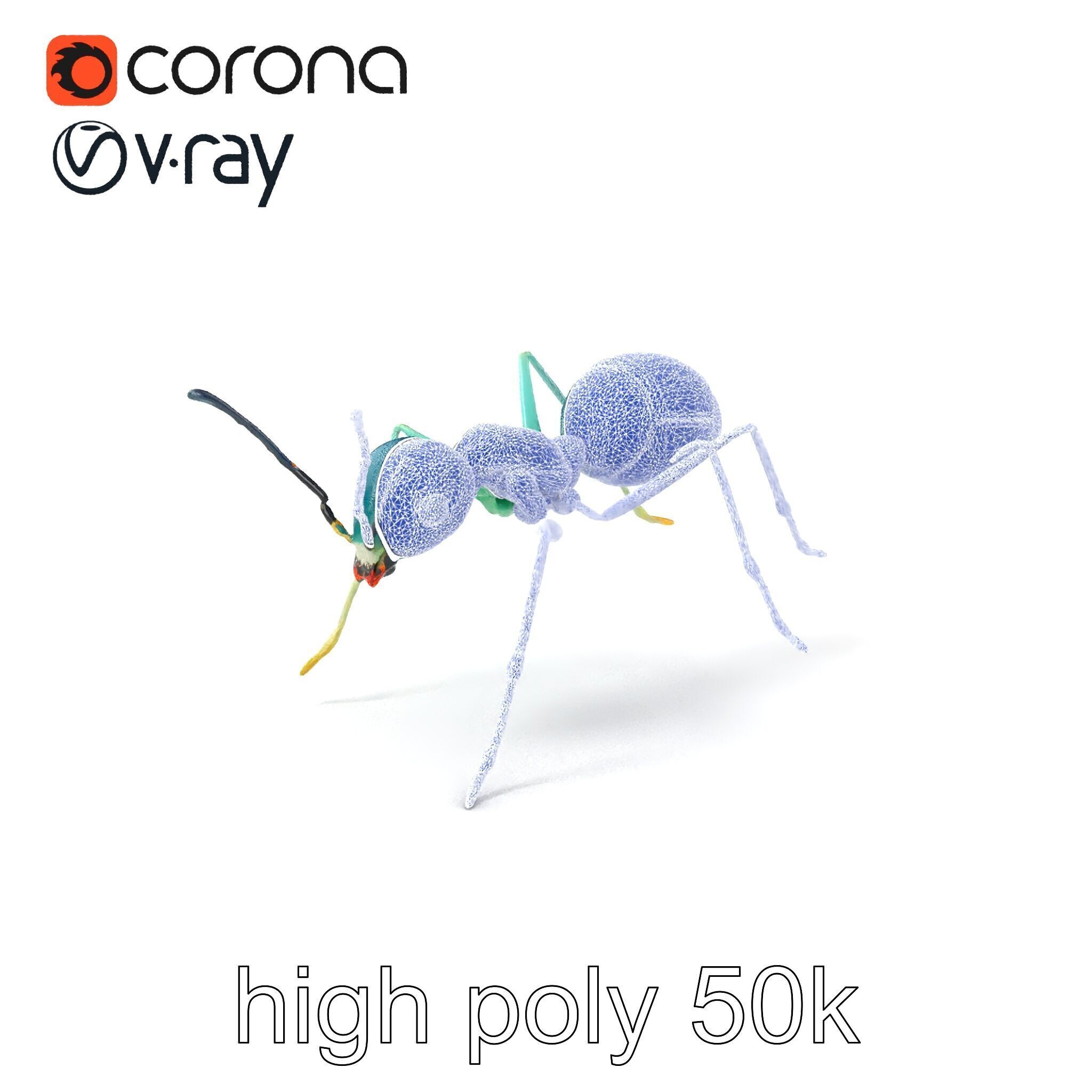 Aquamarine Water Ant Smooth Model Pack Low-poly 3D model_10
