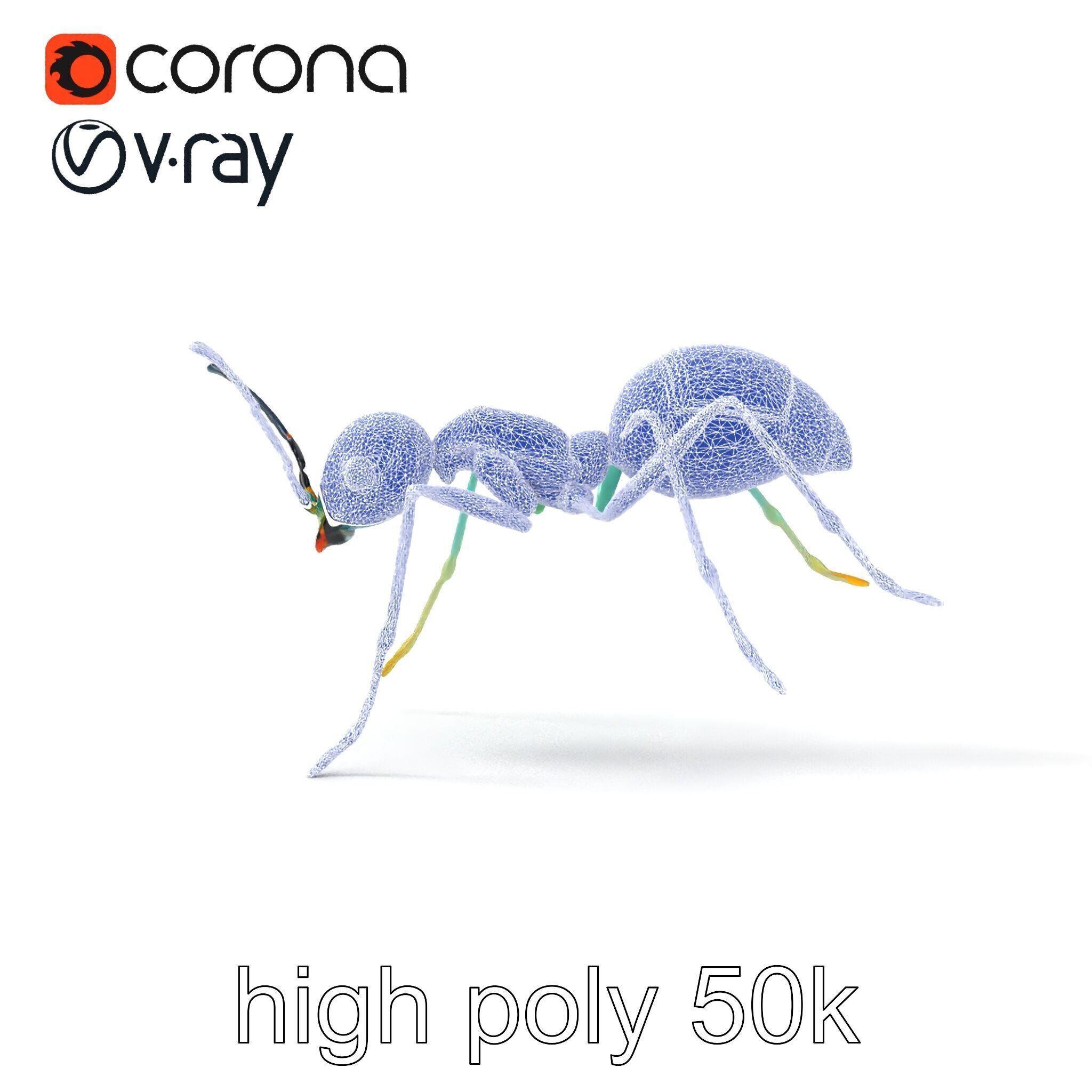 Aquamarine Water Ant Smooth Model Pack Low-poly 3D model_27