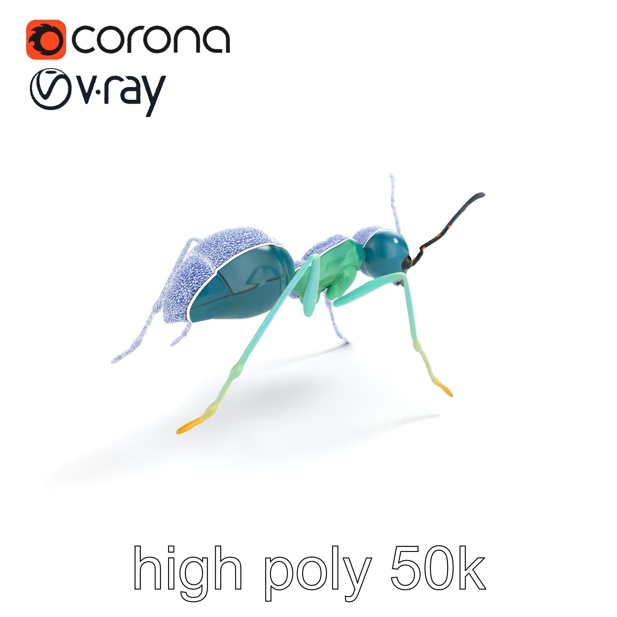Aquamarine Water Ant Smooth Model Pack Low-poly 3D model_14