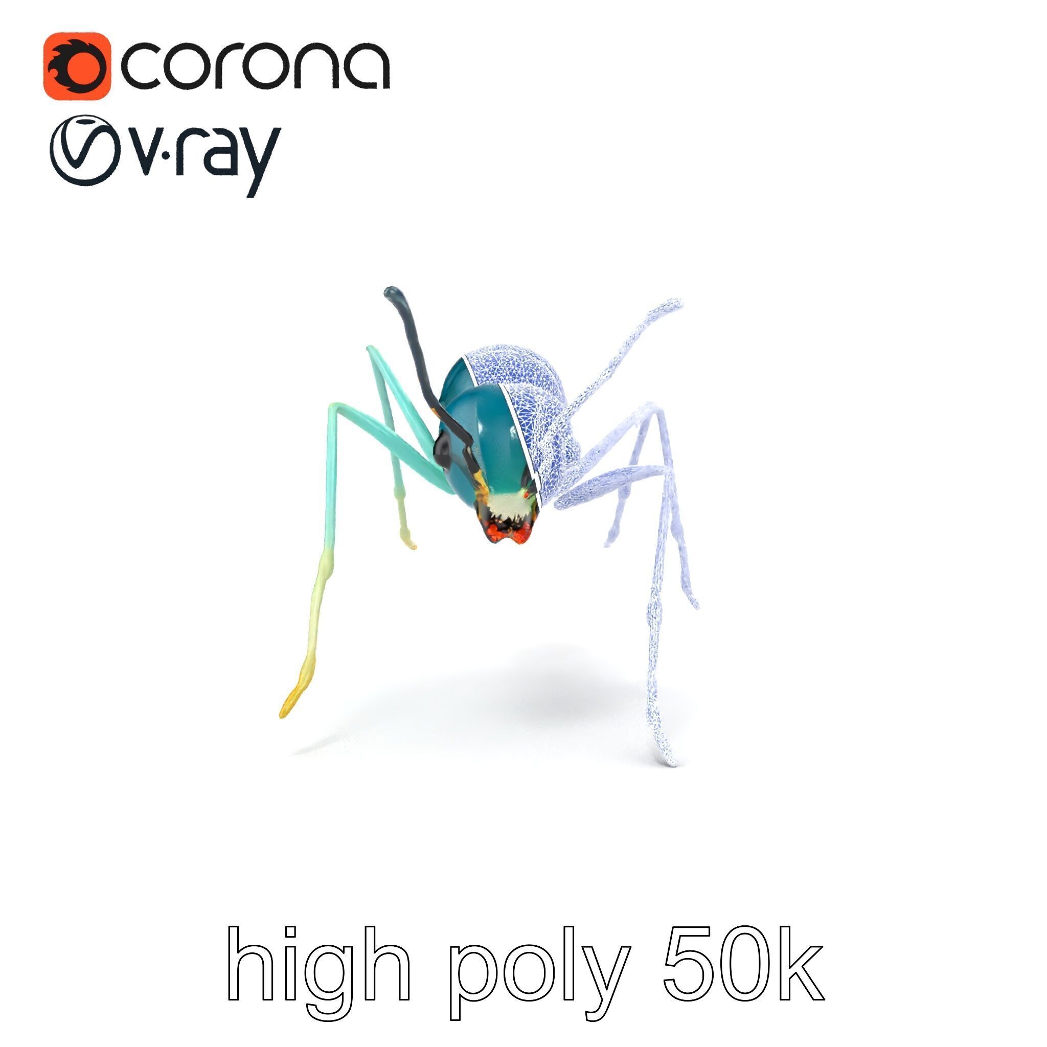 Aquamarine Water Ant Smooth Model Pack Low-poly 3D model_31