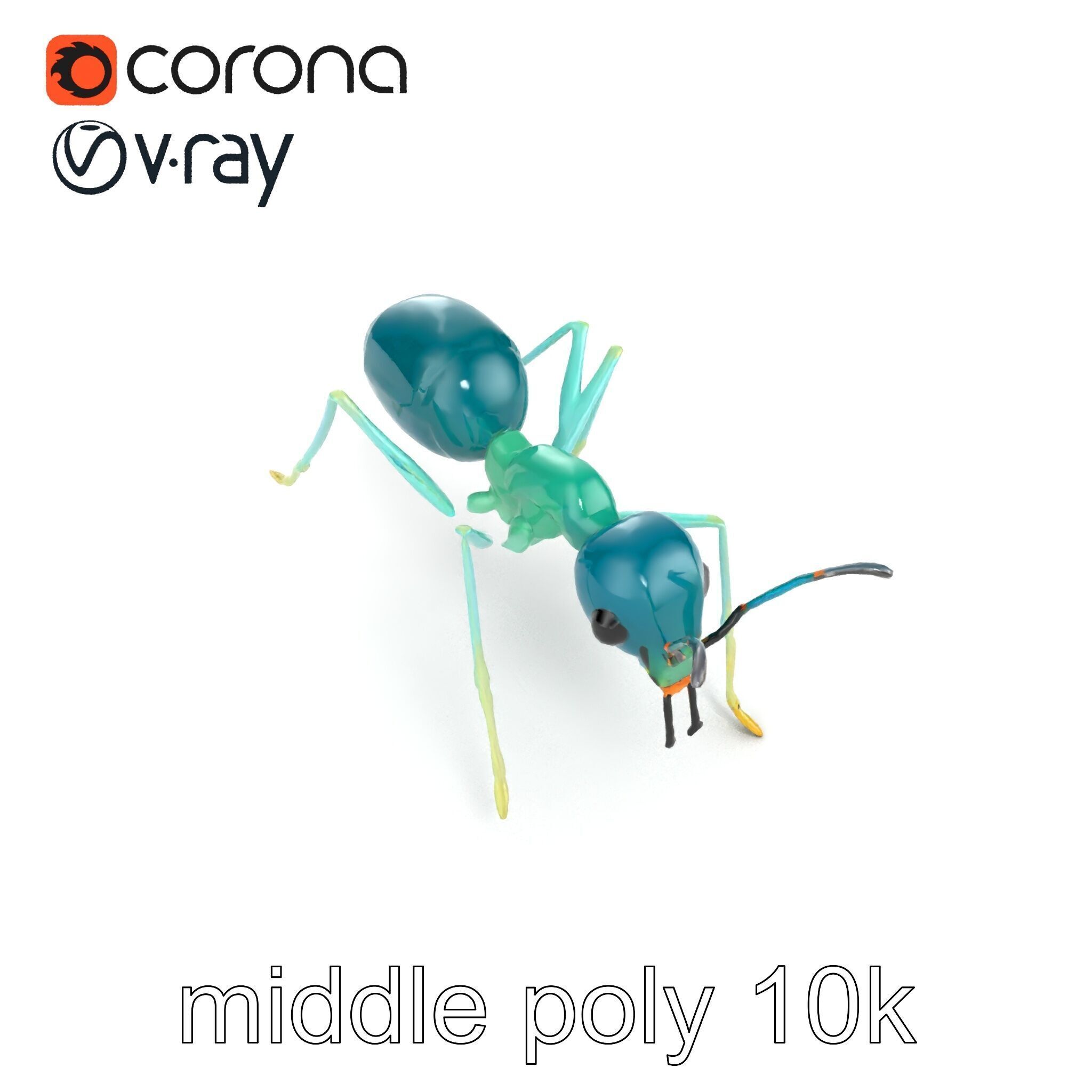 Aquamarine Water Ant Smooth Model Pack Low-poly 3D model_26