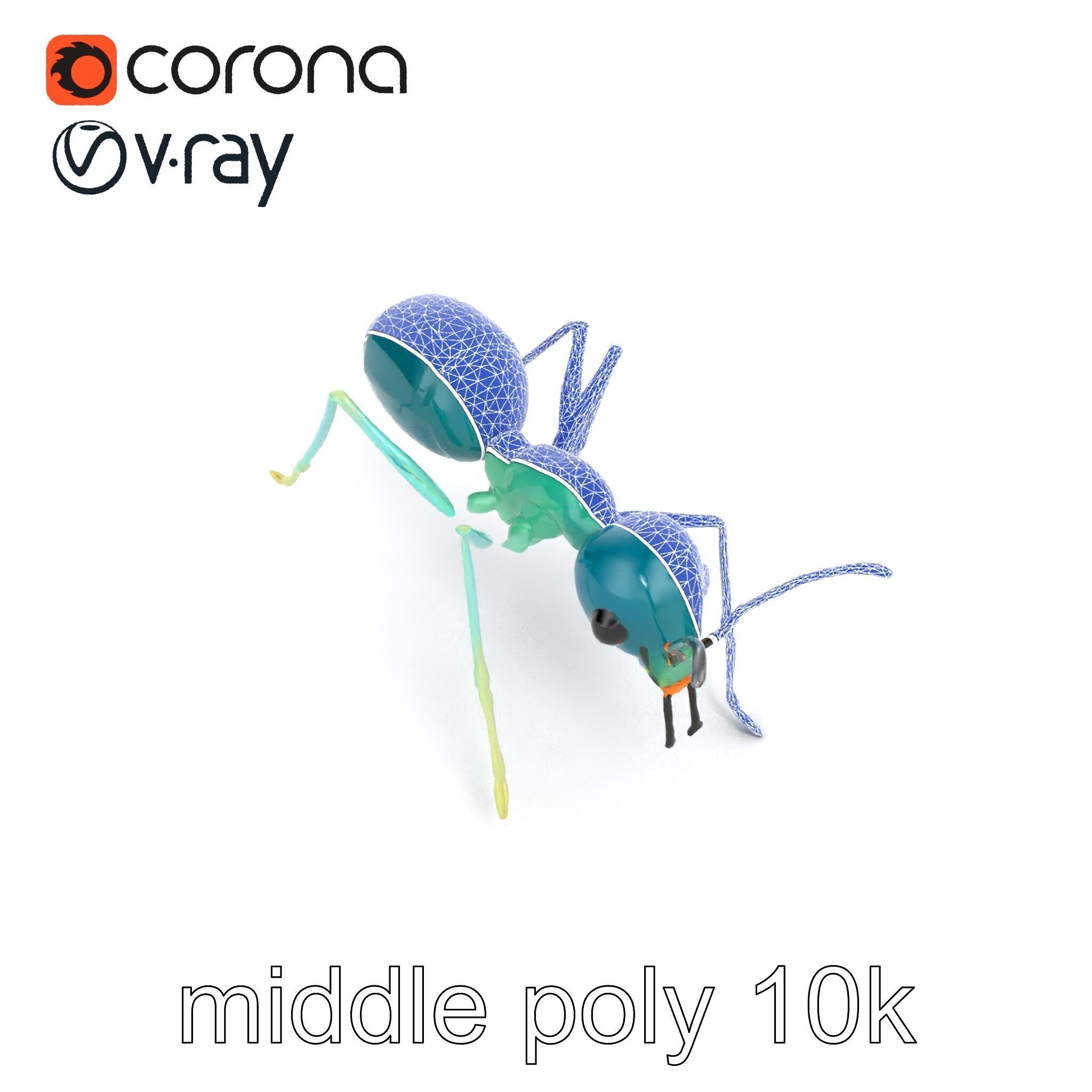 Aquamarine Water Ant Smooth Model Pack Low-poly 3D model_13