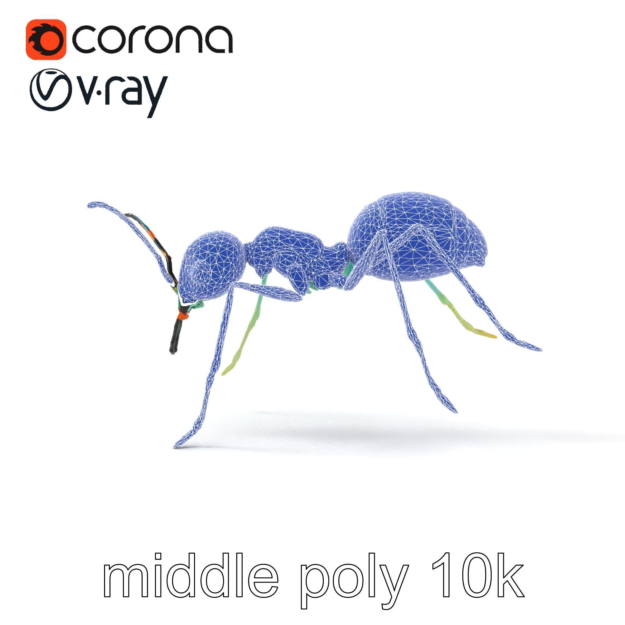 Aquamarine Water Ant Smooth Model Pack Low-poly 3D model_32