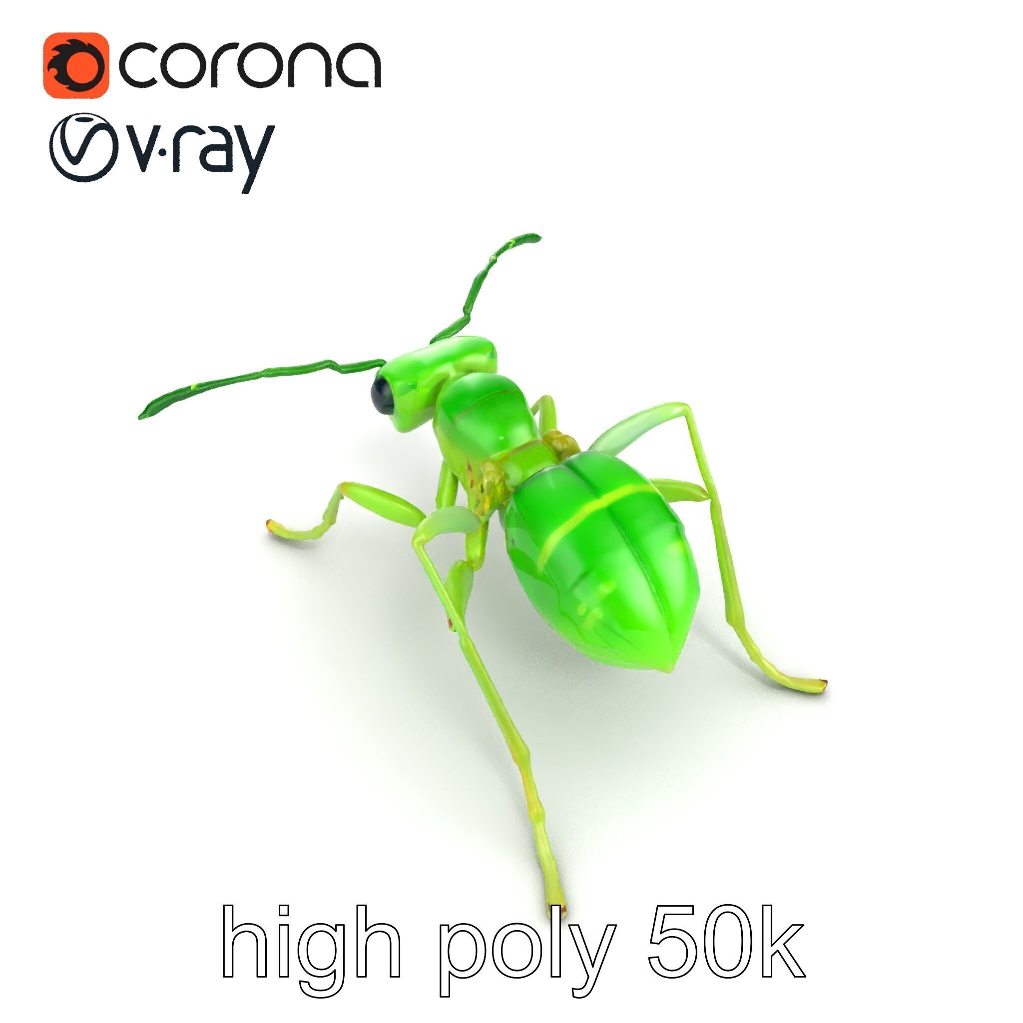 Bioluminescent Neon Green Firefly Ant Insect model pack Low-poly 3D model_25