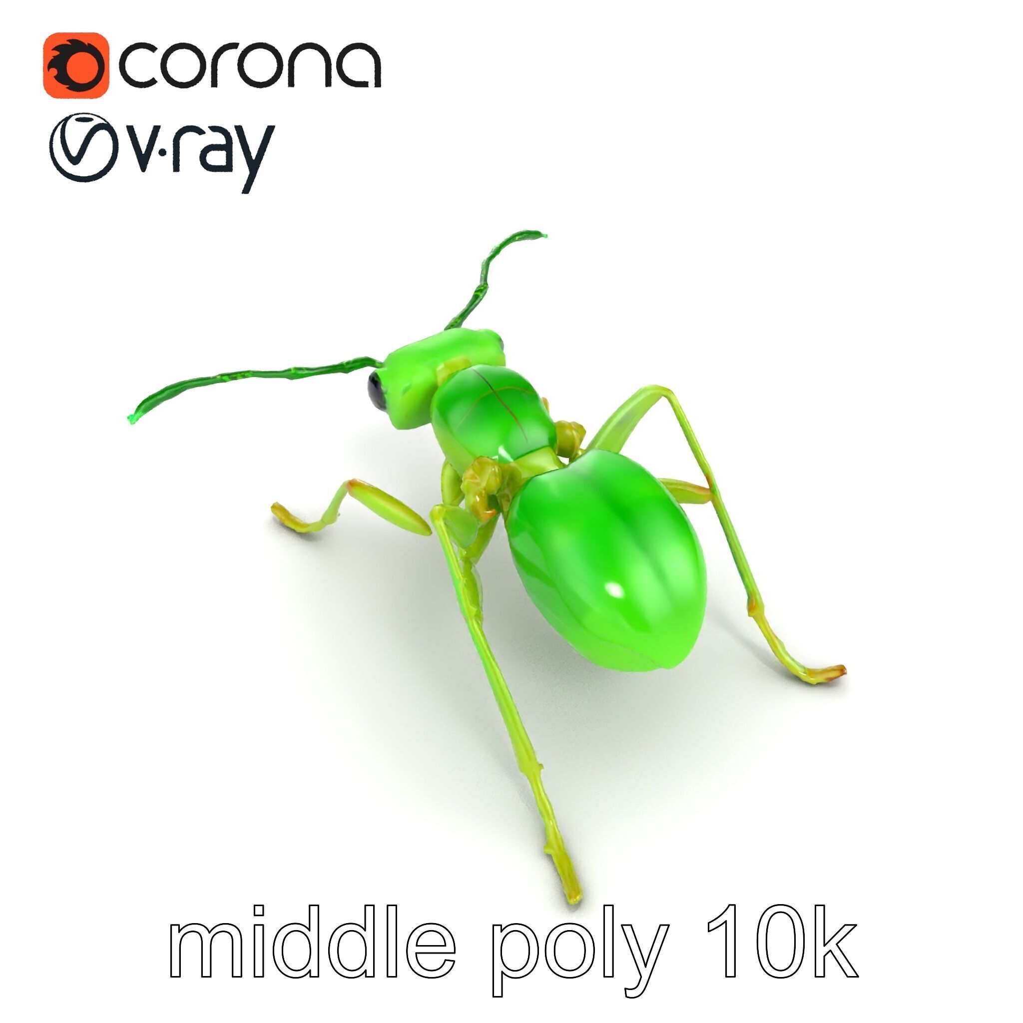 Bioluminescent Neon Green Firefly Ant Insect model pack Low-poly 3D model_11