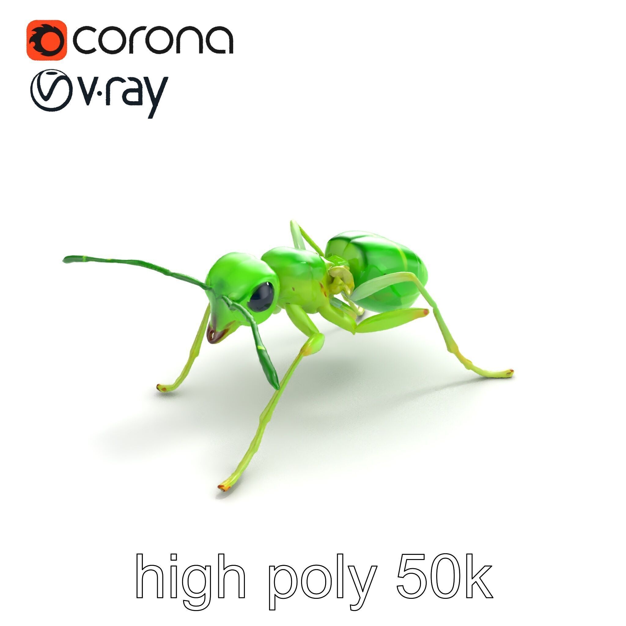 Bioluminescent Neon Green Firefly Ant Insect model pack Low-poly 3D model_9