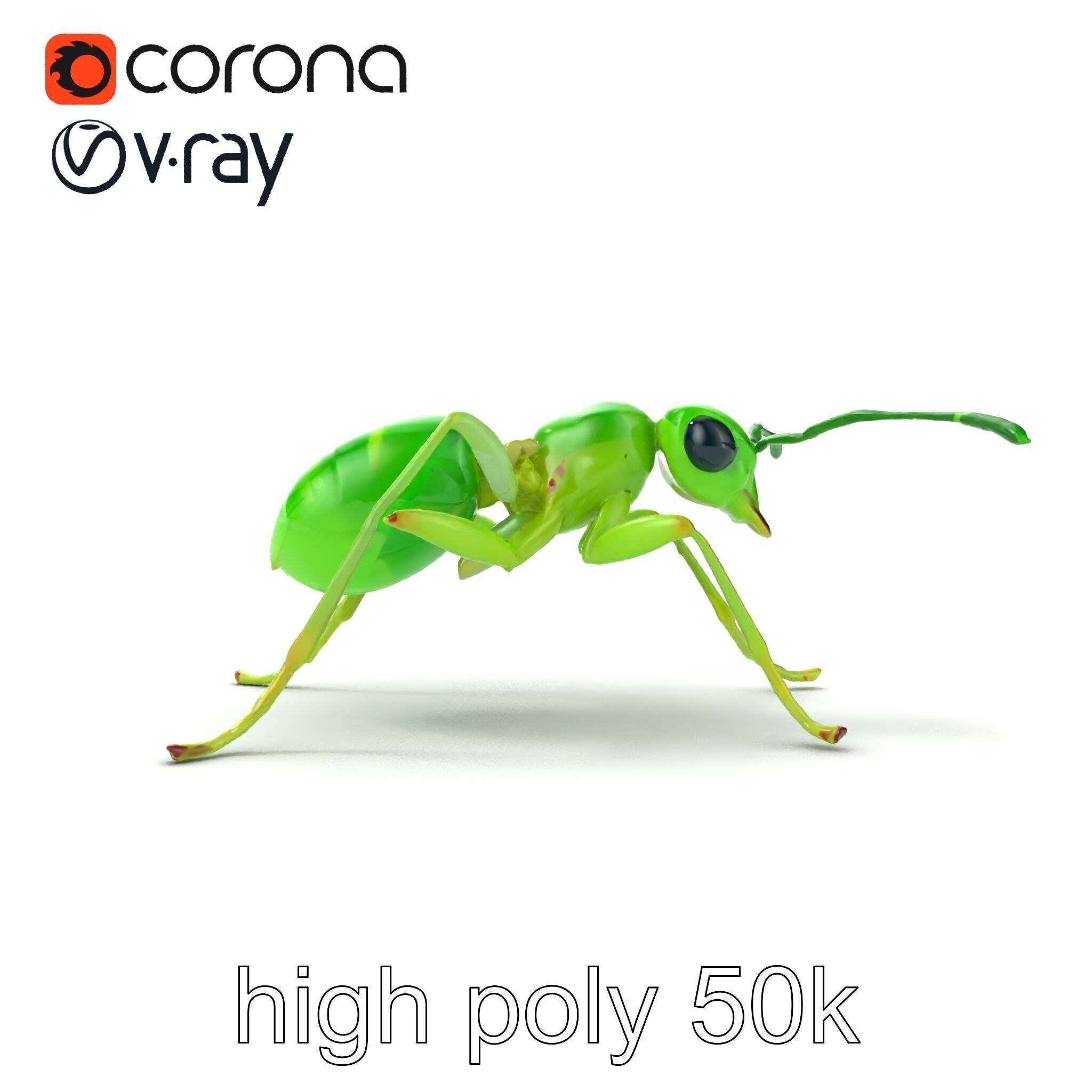 Bioluminescent Neon Green Firefly Ant Insect model pack Low-poly 3D model_17