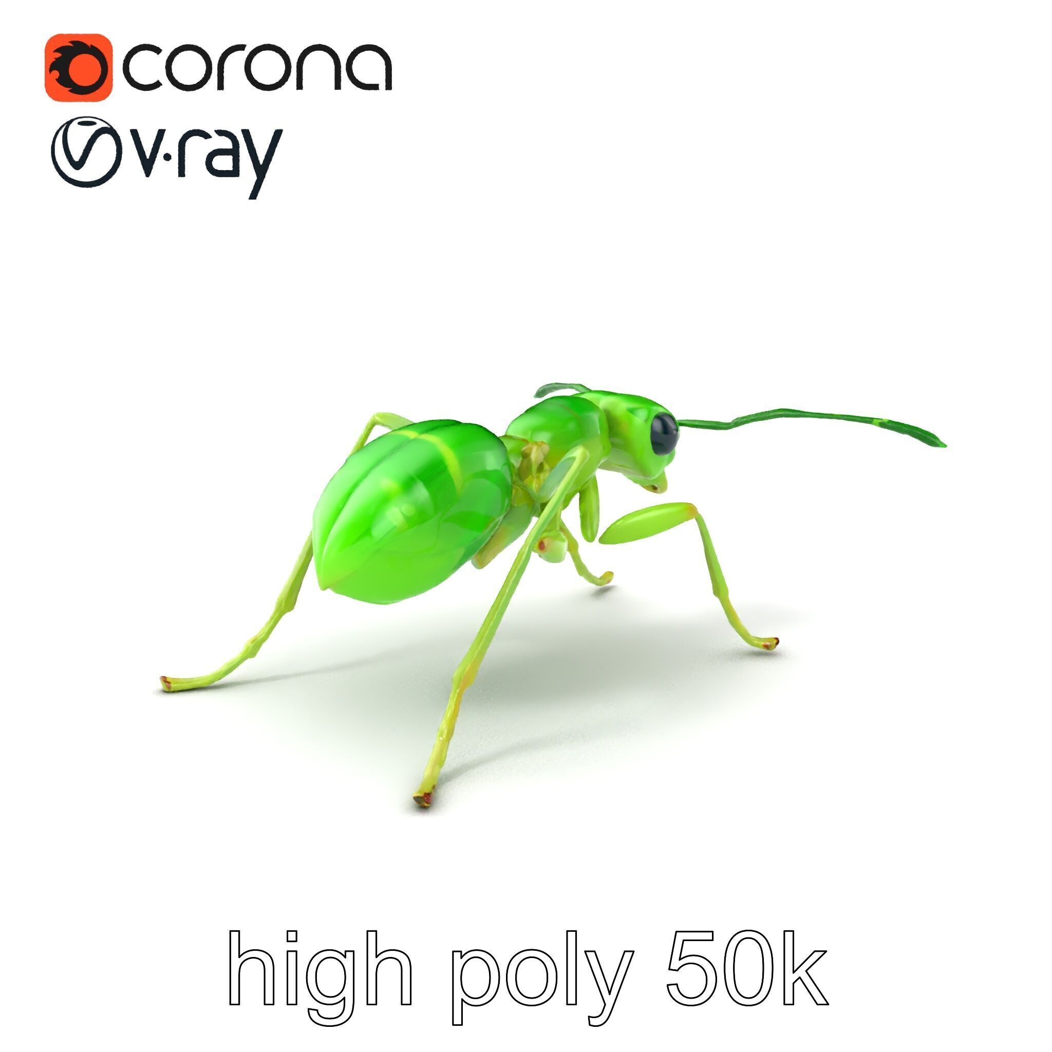 Bioluminescent Neon Green Firefly Ant Insect model pack Low-poly 3D model_2