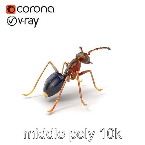 Dark Olive Shepherd Ant Realistic 3D Model Pack Low-poly 3D model