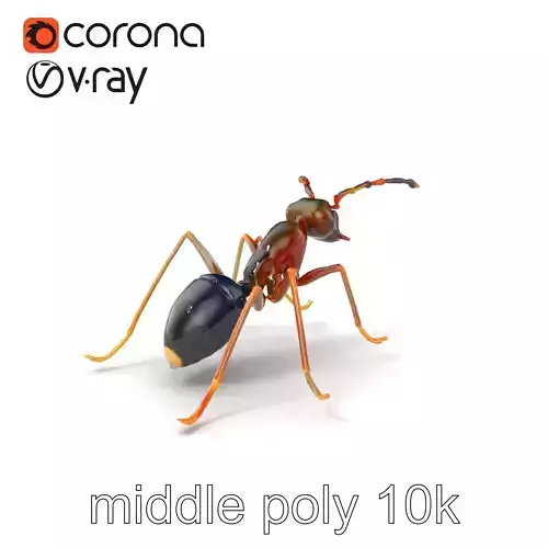 Dark Olive Shepherd Ant Realistic 3D Model Pack Low-poly 3D model
