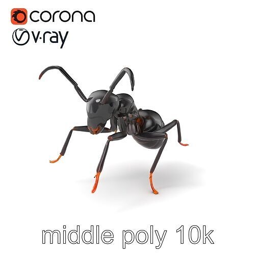 Cave Ant 3D Model Pack with Matte Black Finish Low-poly 3D model