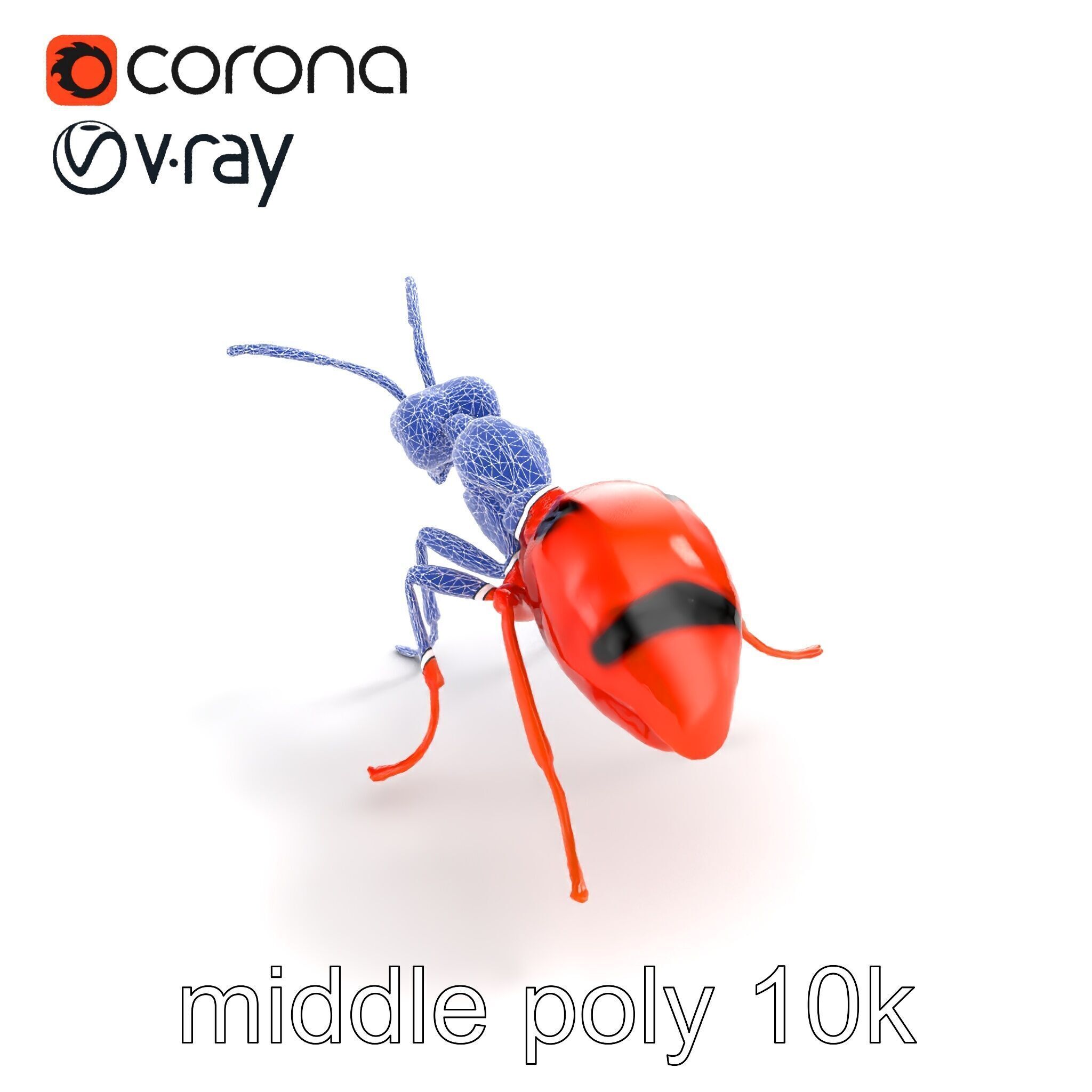 Red Soldier Ant Realistic 3D Model Pack Low-poly 3D model_16