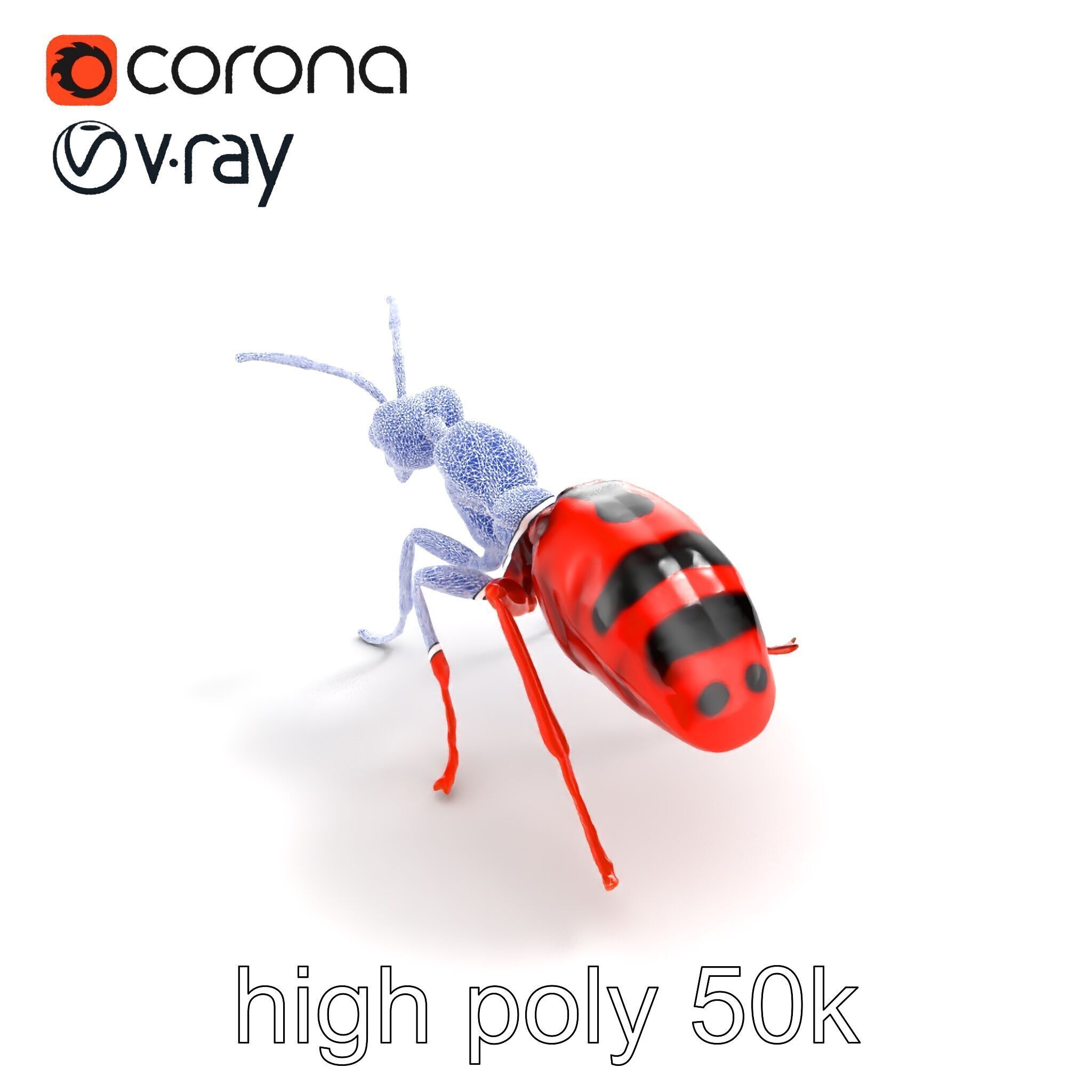 Red Soldier Ant Realistic 3D Model Pack Low-poly 3D model_25