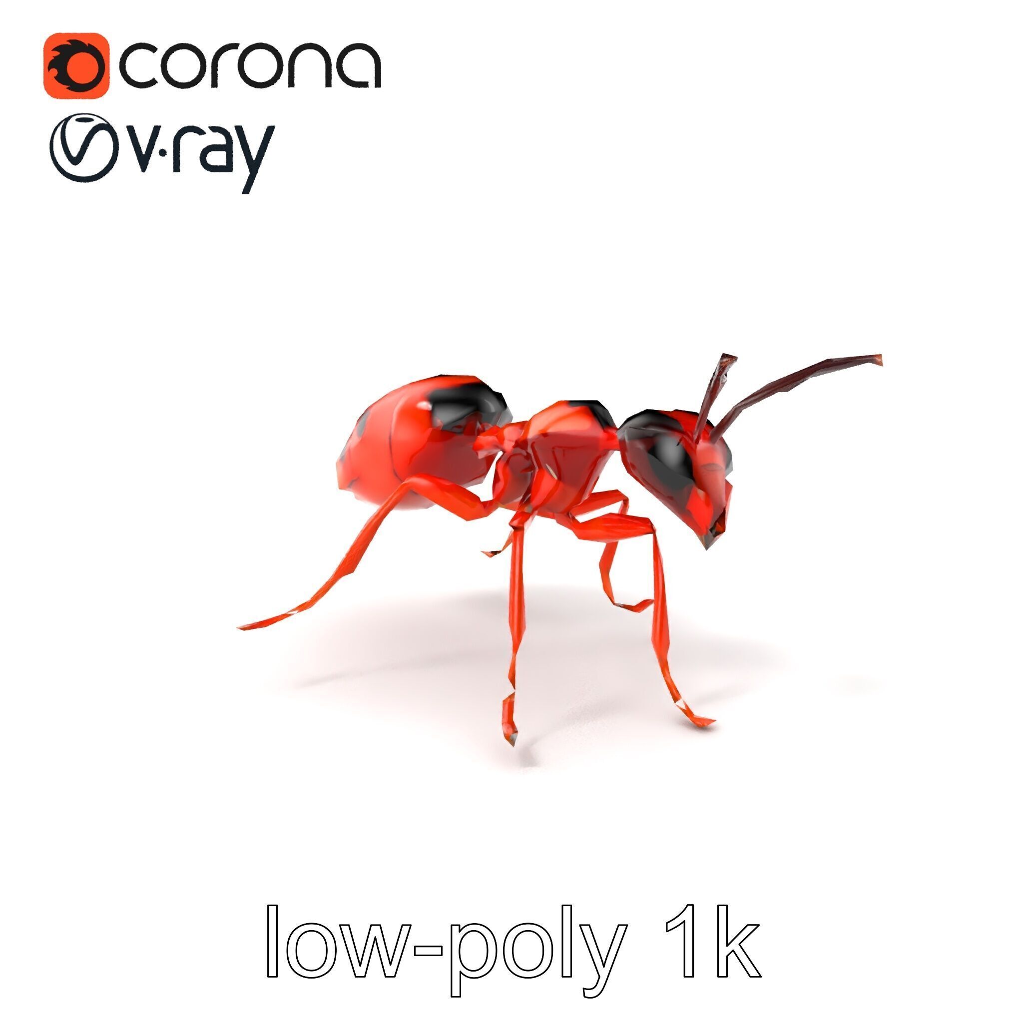 Red Soldier Ant Realistic 3D Model Pack Low-poly 3D model_5