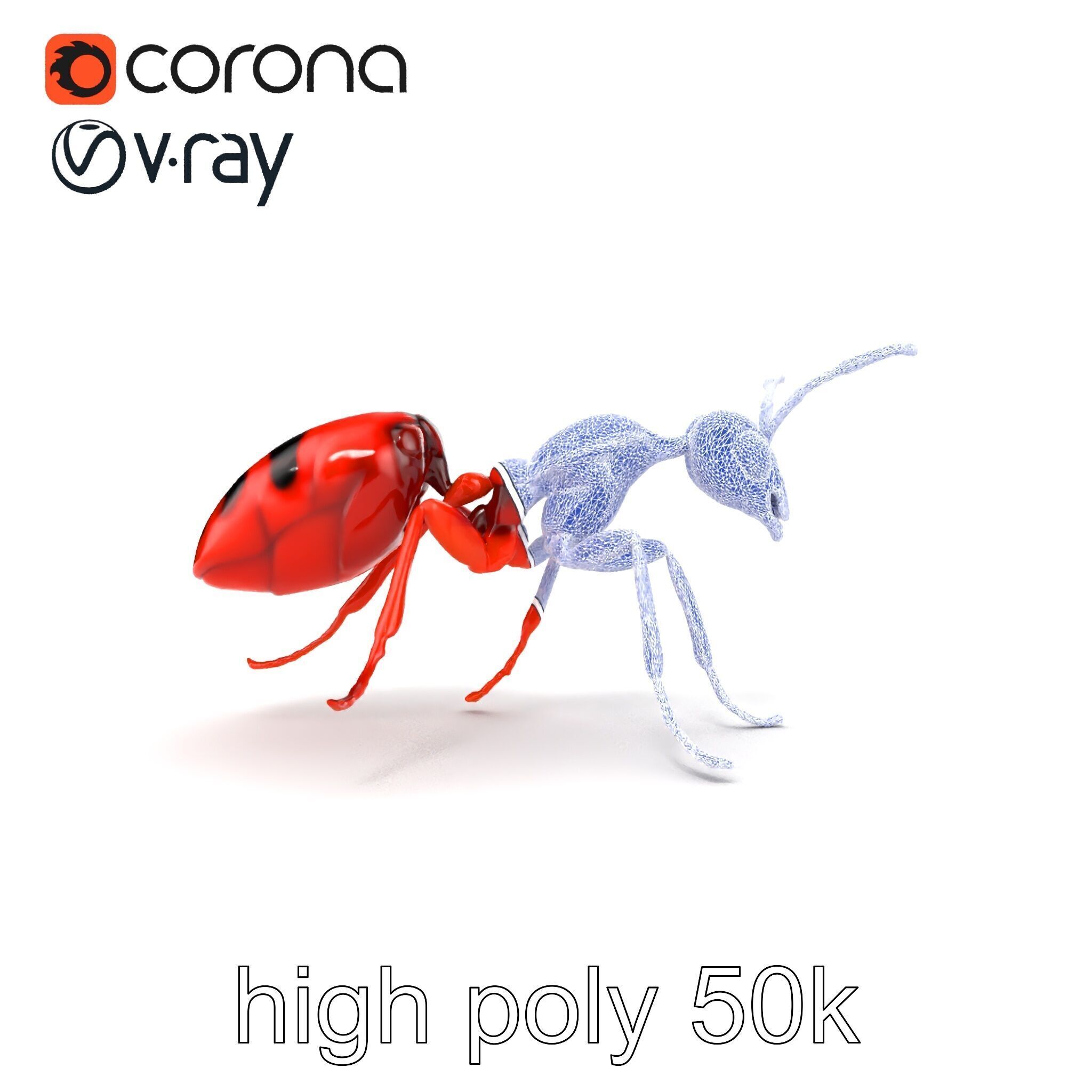 Red Soldier Ant Realistic 3D Model Pack Low-poly 3D model_28