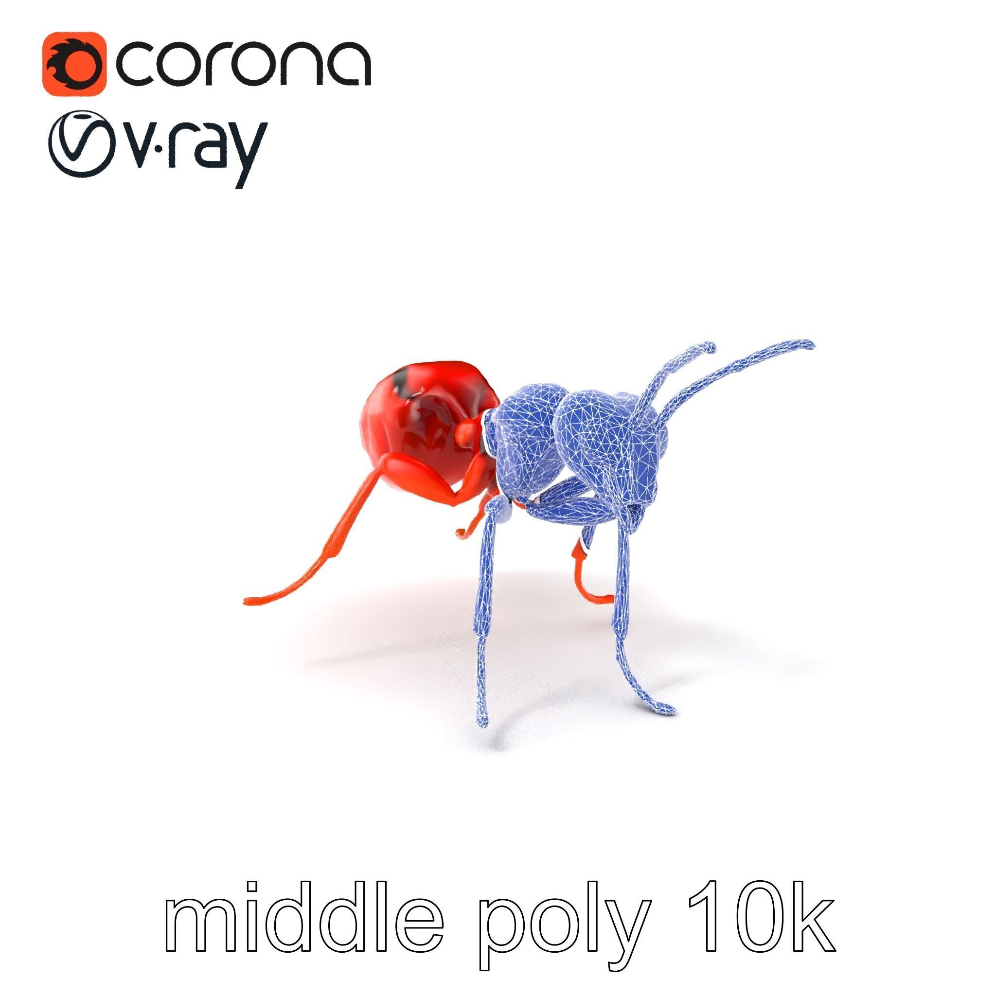 Red Soldier Ant Realistic 3D Model Pack Low-poly 3D model_6