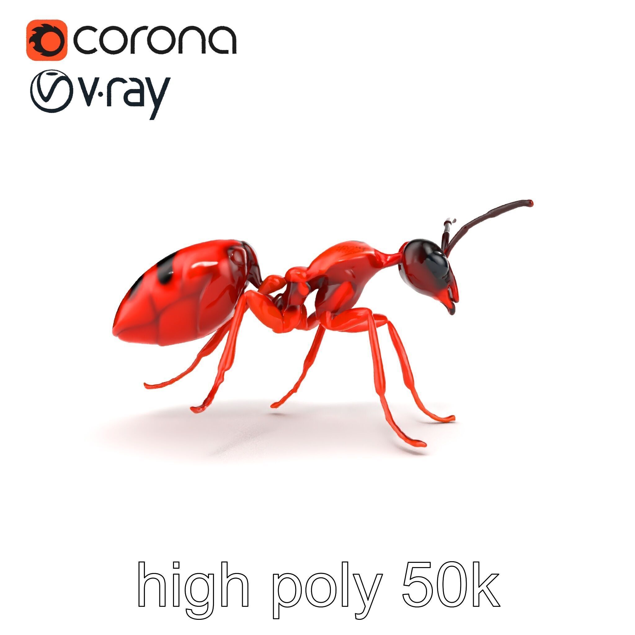 Red Soldier Ant Realistic 3D Model Pack Low-poly 3D model_14