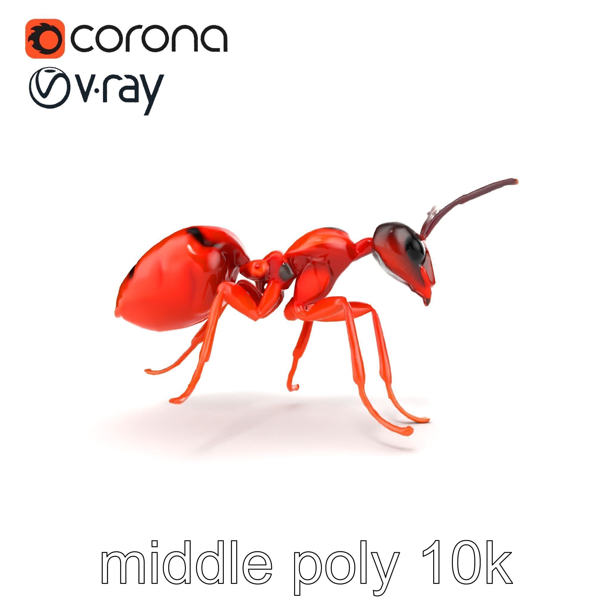 Red Soldier Ant Realistic 3D Model Pack Low-poly 3D model_31