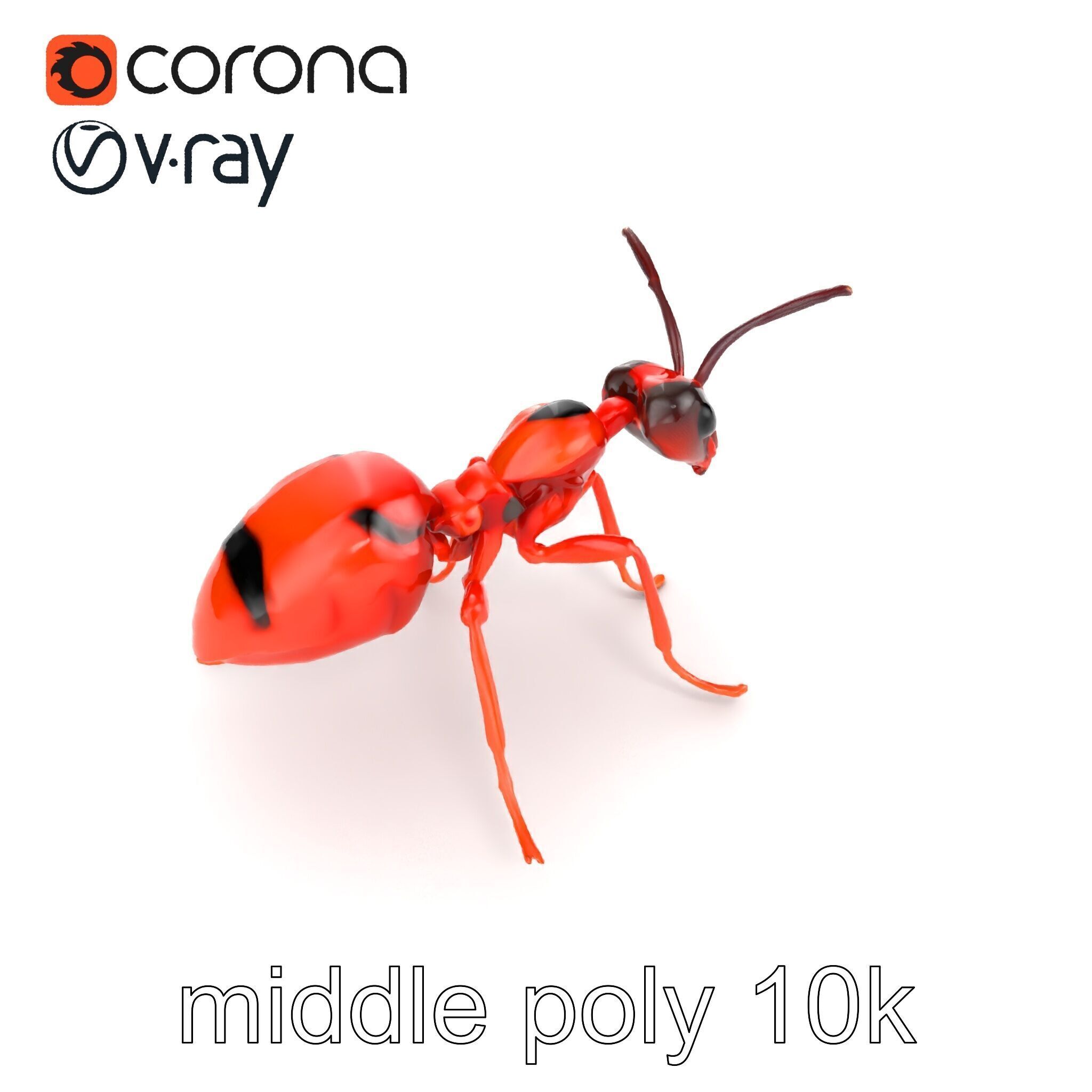 Red Soldier Ant Realistic 3D Model Pack Low-poly 3D model_21