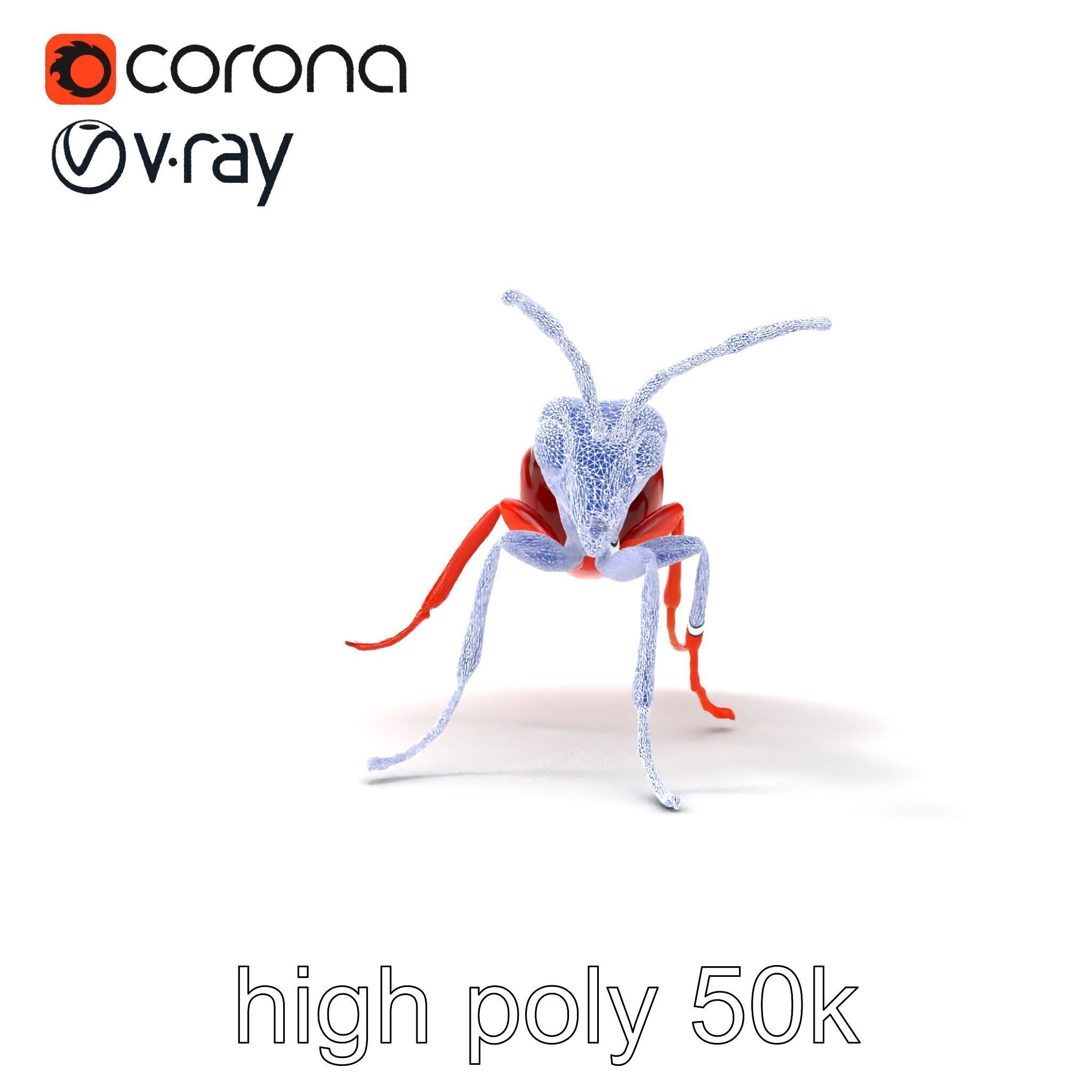 Red Soldier Ant Realistic 3D Model Pack Low-poly 3D model_20