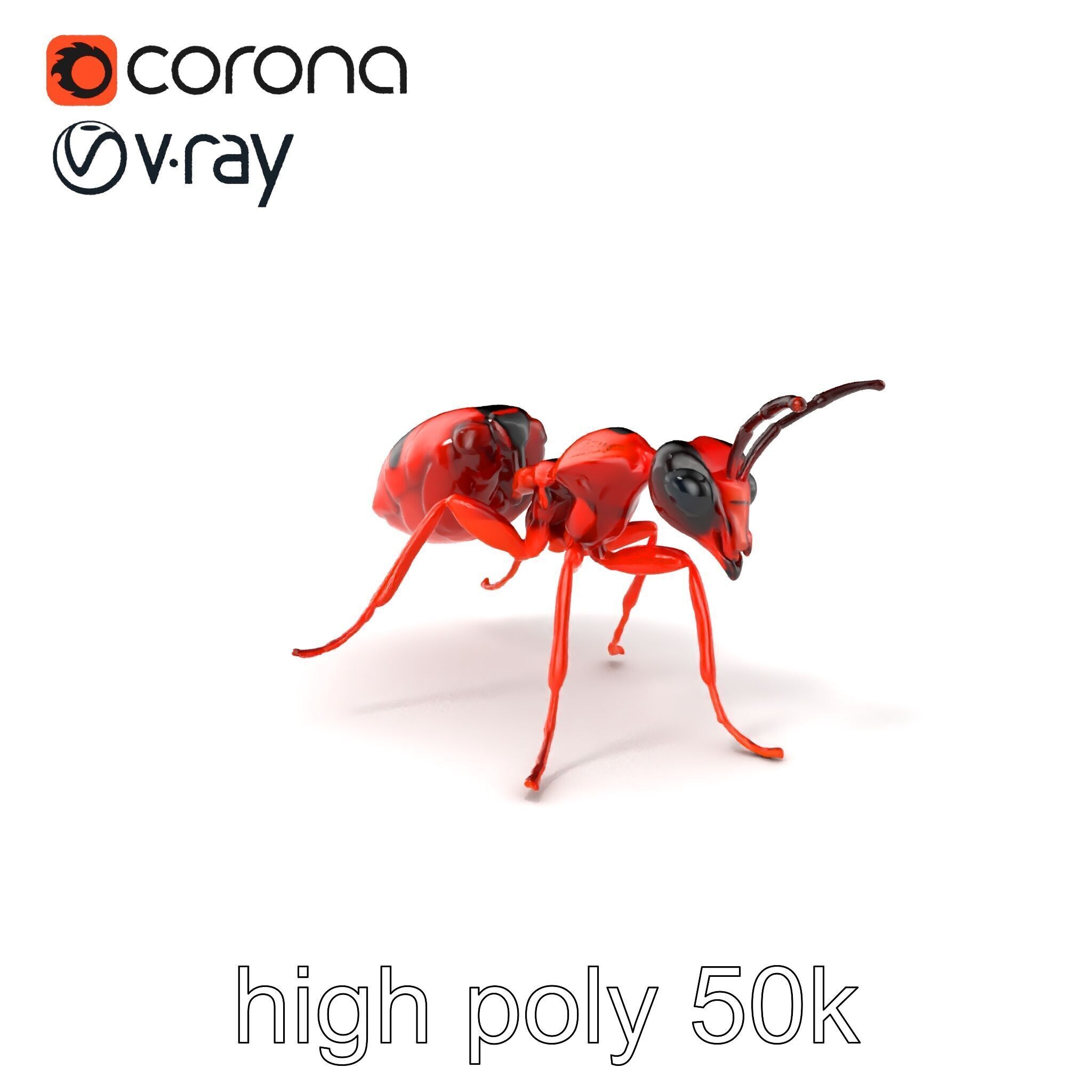 Red Soldier Ant Realistic 3D Model Pack Low-poly 3D model_2