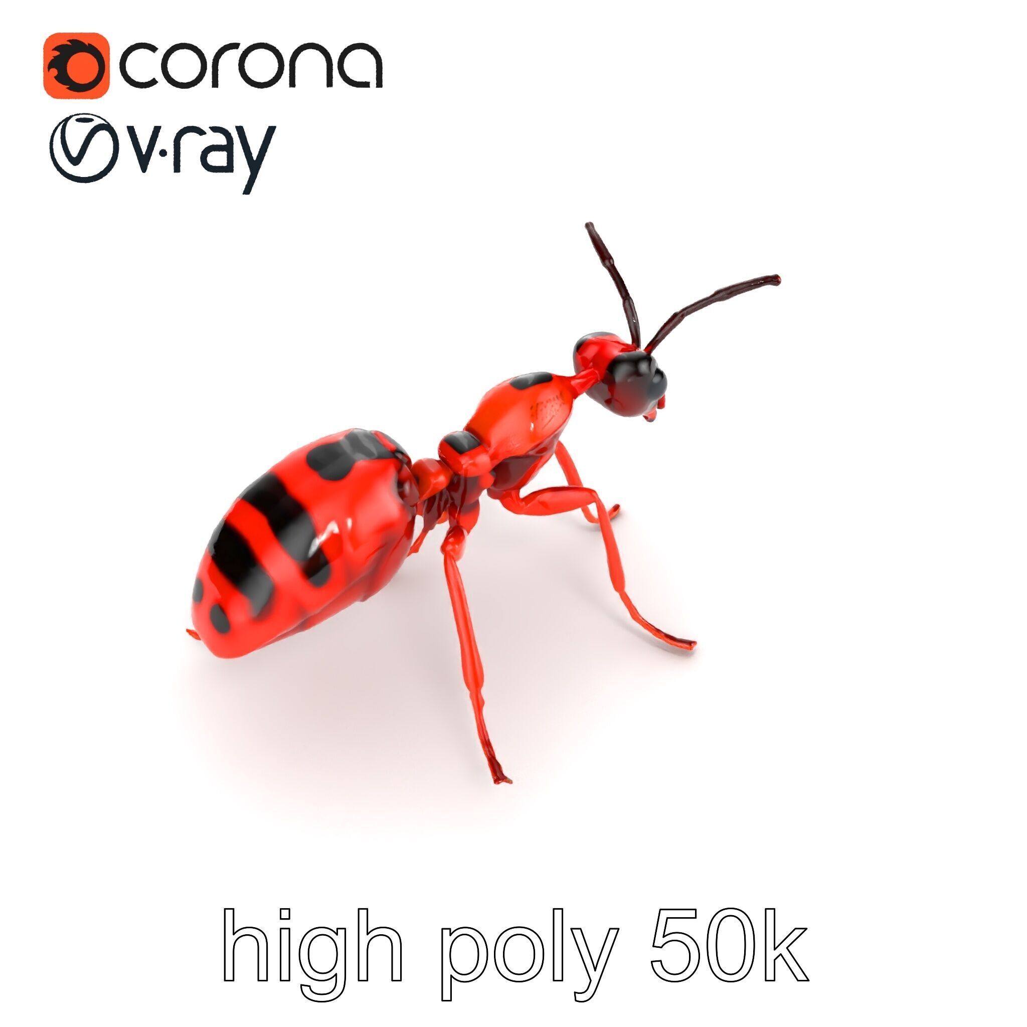 Red Soldier Ant Realistic 3D Model Pack Low-poly 3D model_17
