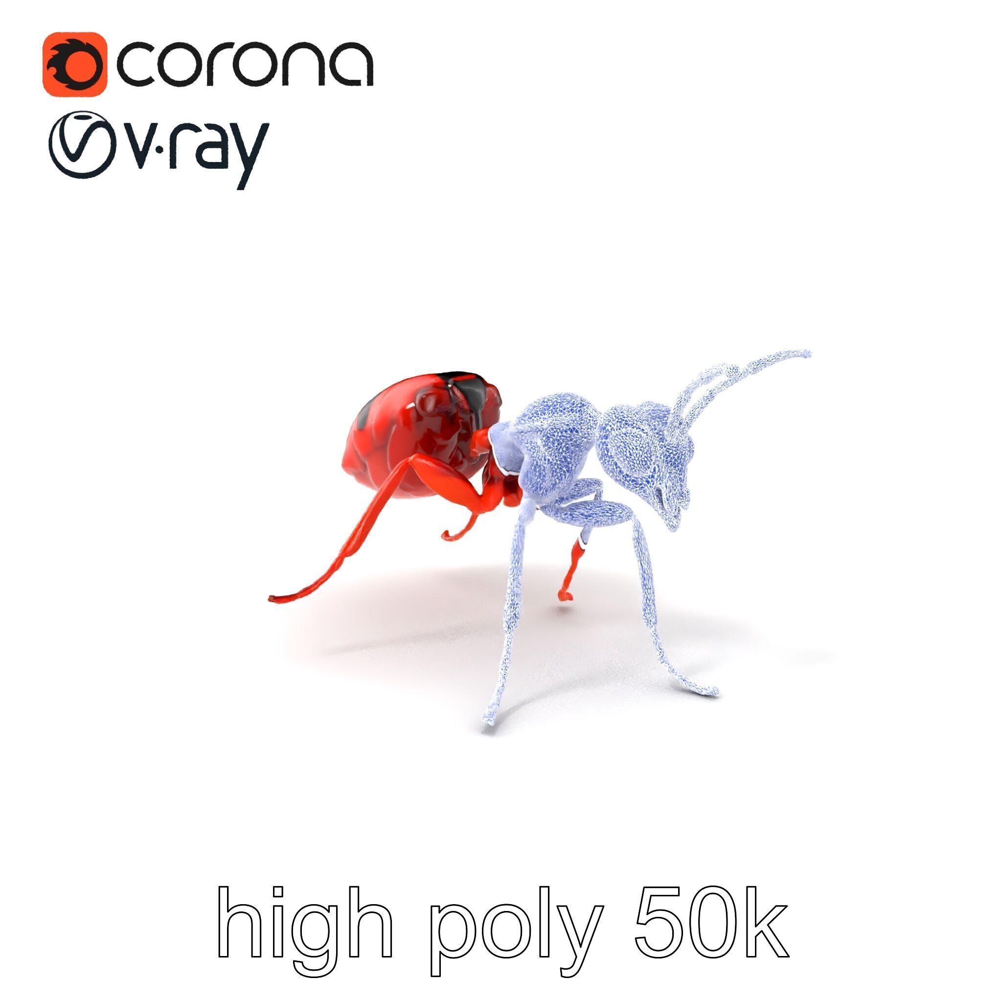 Red Soldier Ant Realistic 3D Model Pack Low-poly 3D model_10