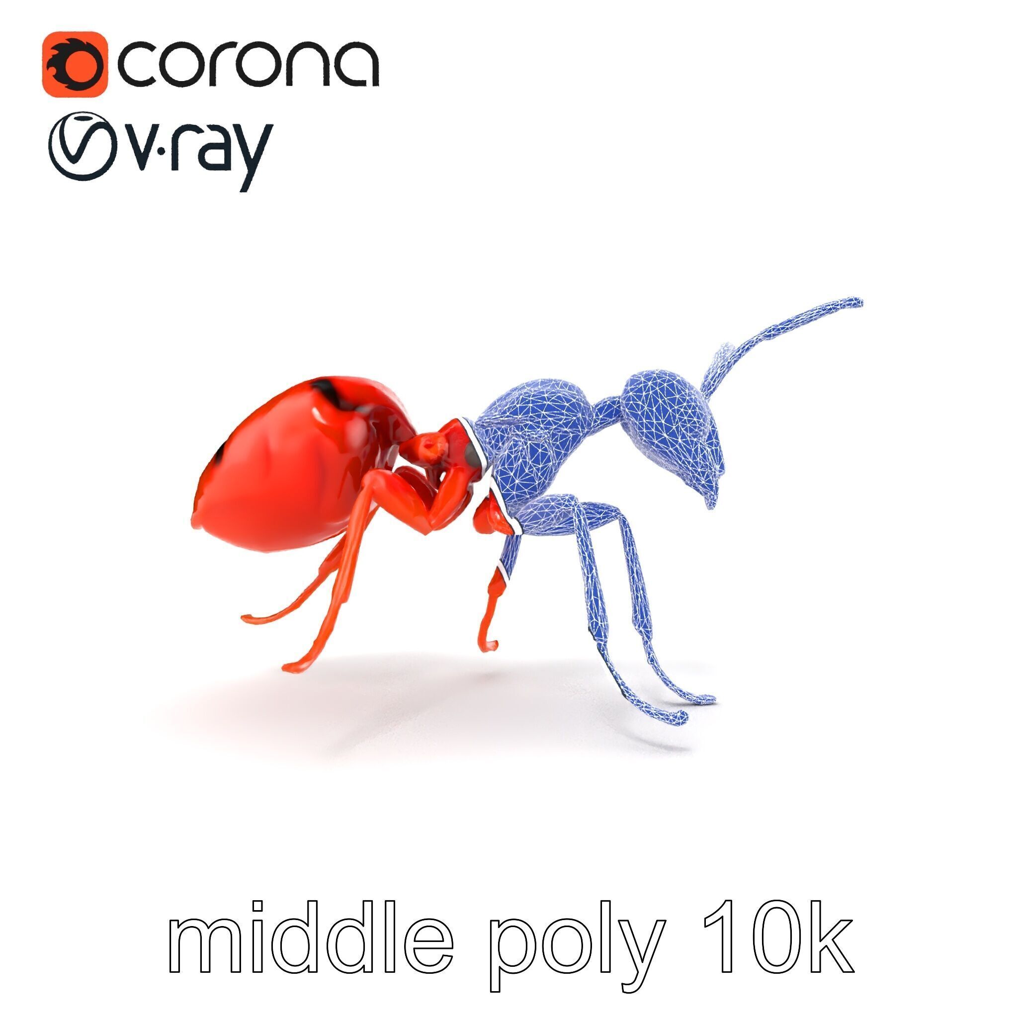 Red Soldier Ant Realistic 3D Model Pack Low-poly 3D model_30