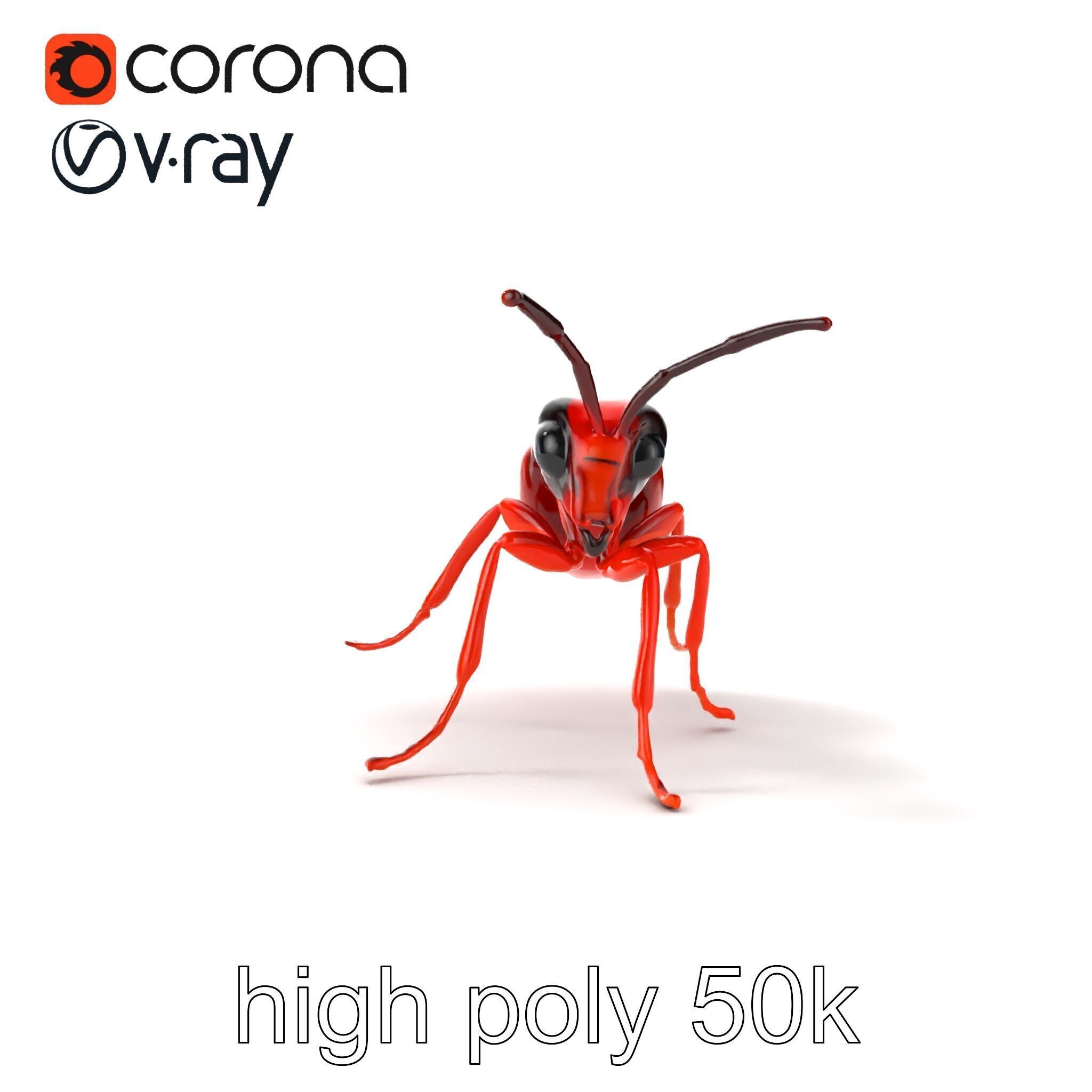 Red Soldier Ant Realistic 3D Model Pack Low-poly 3D model_27