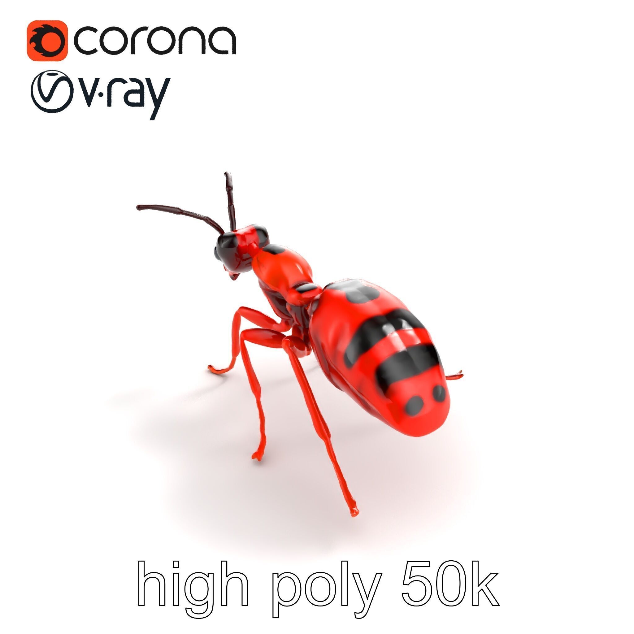 Red Soldier Ant Realistic 3D Model Pack Low-poly 3D model_11
