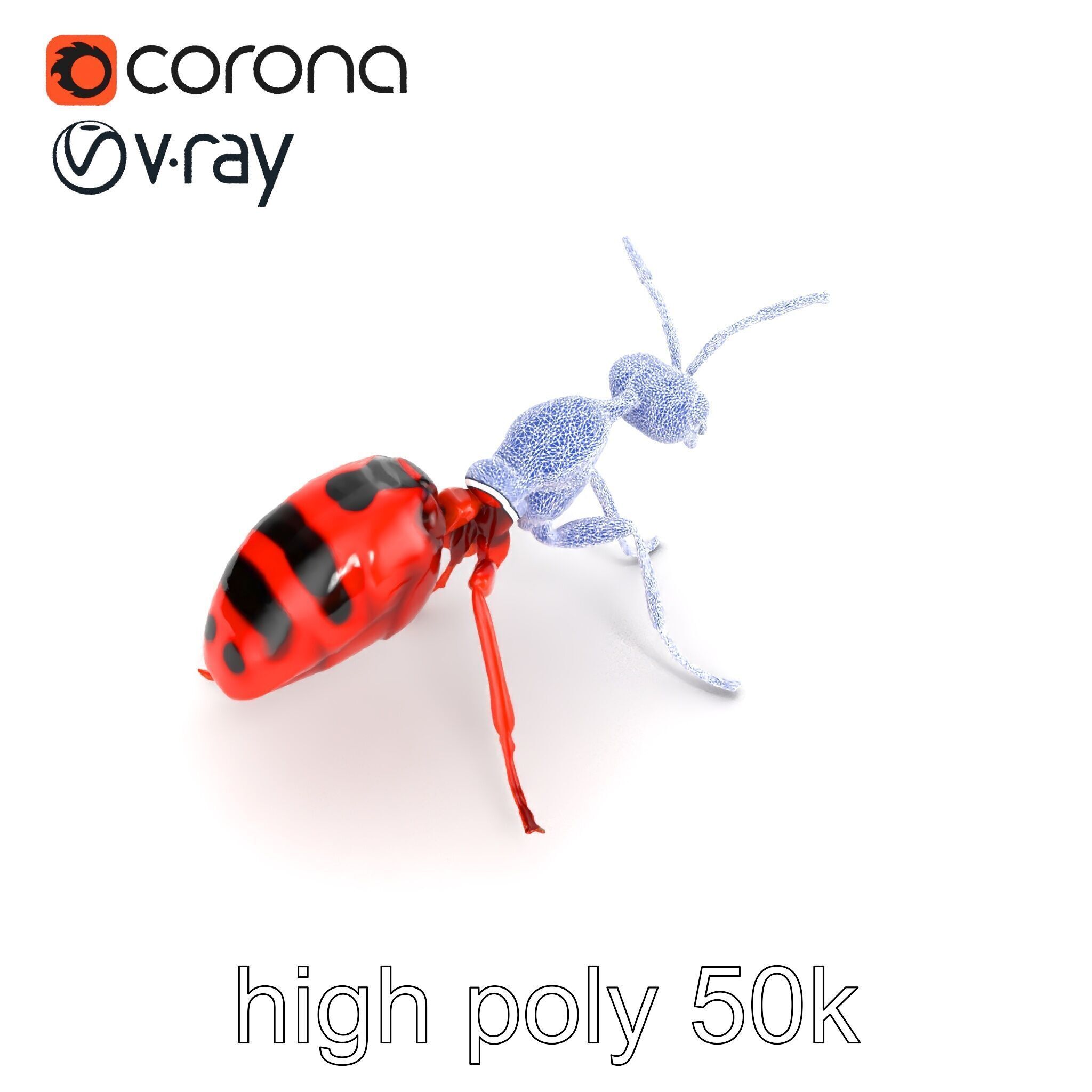 Red Soldier Ant Realistic 3D Model Pack Low-poly 3D model_23