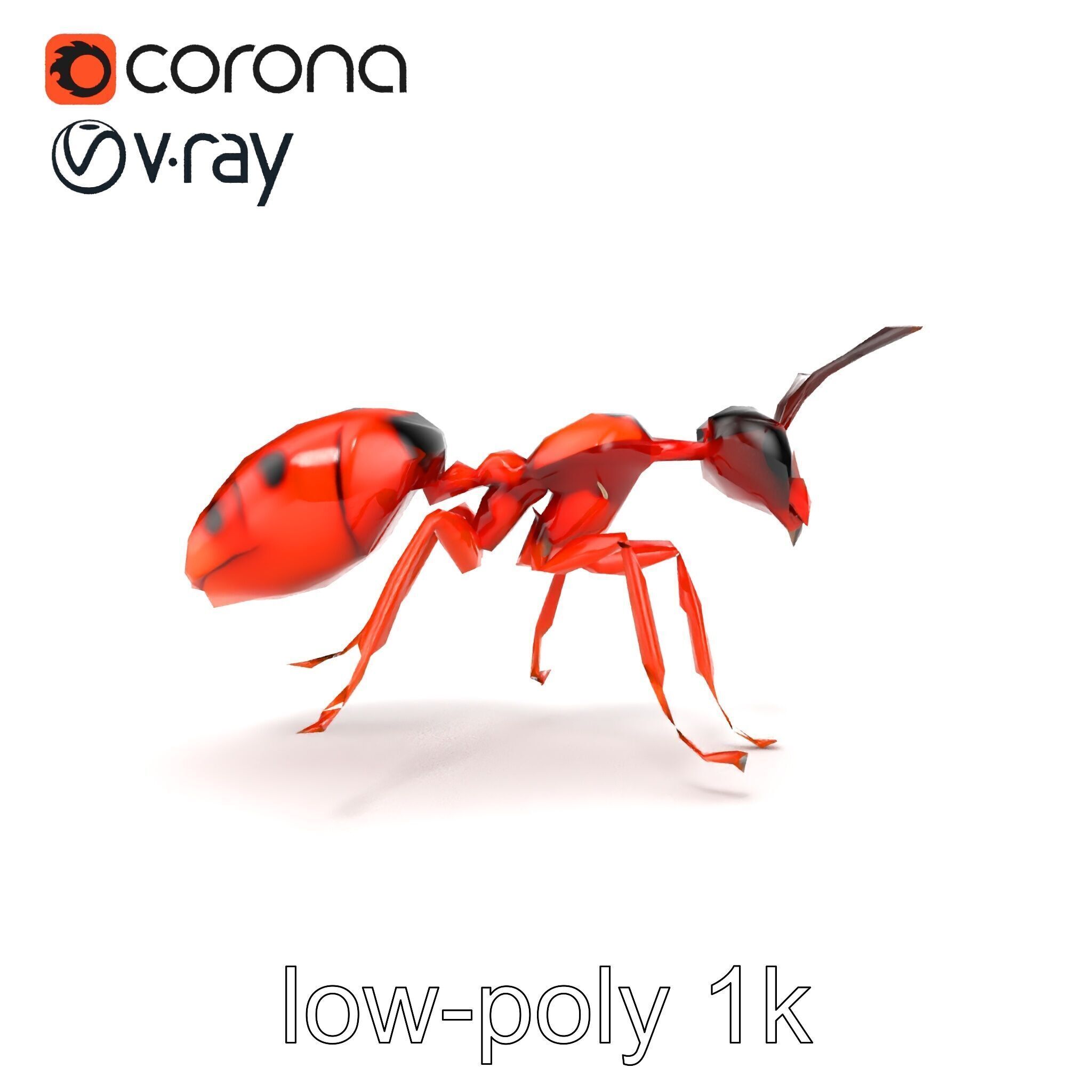 Red Soldier Ant Realistic 3D Model Pack Low-poly 3D model_19