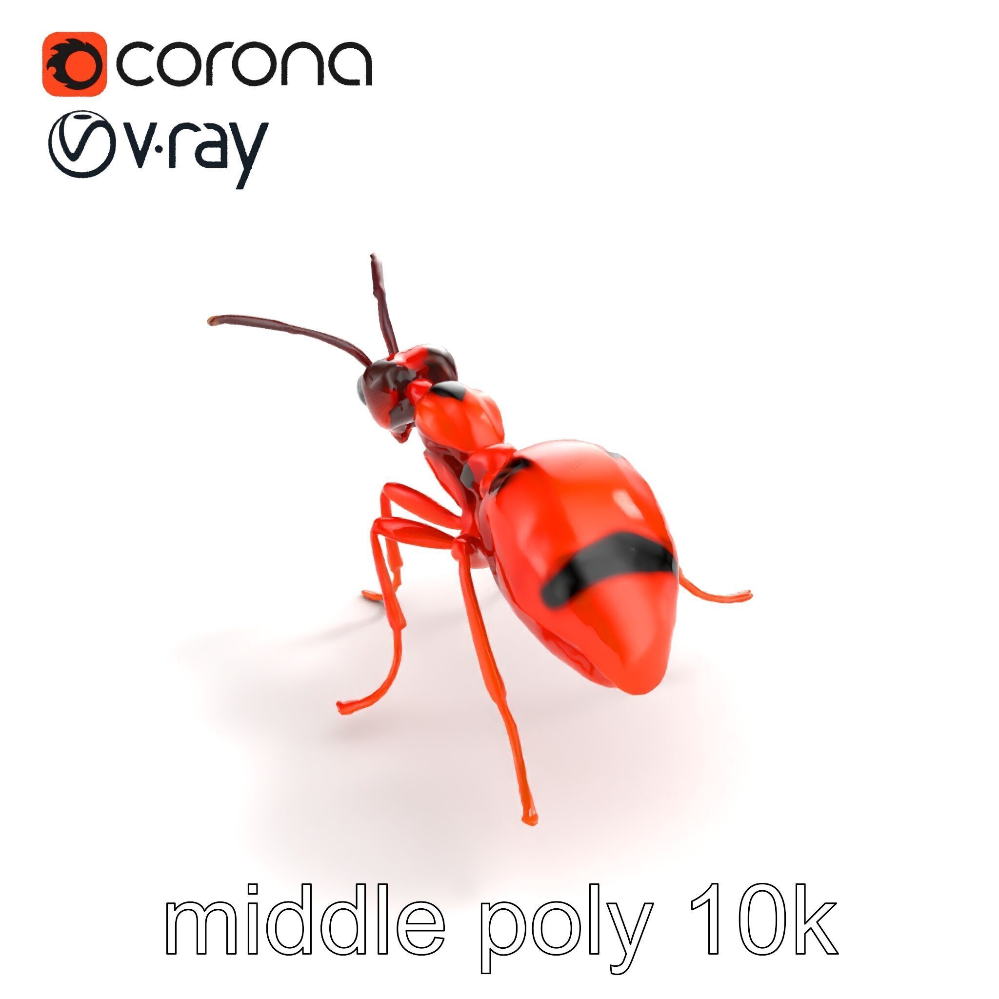 Red Soldier Ant Realistic 3D Model Pack Low-poly 3D model_8