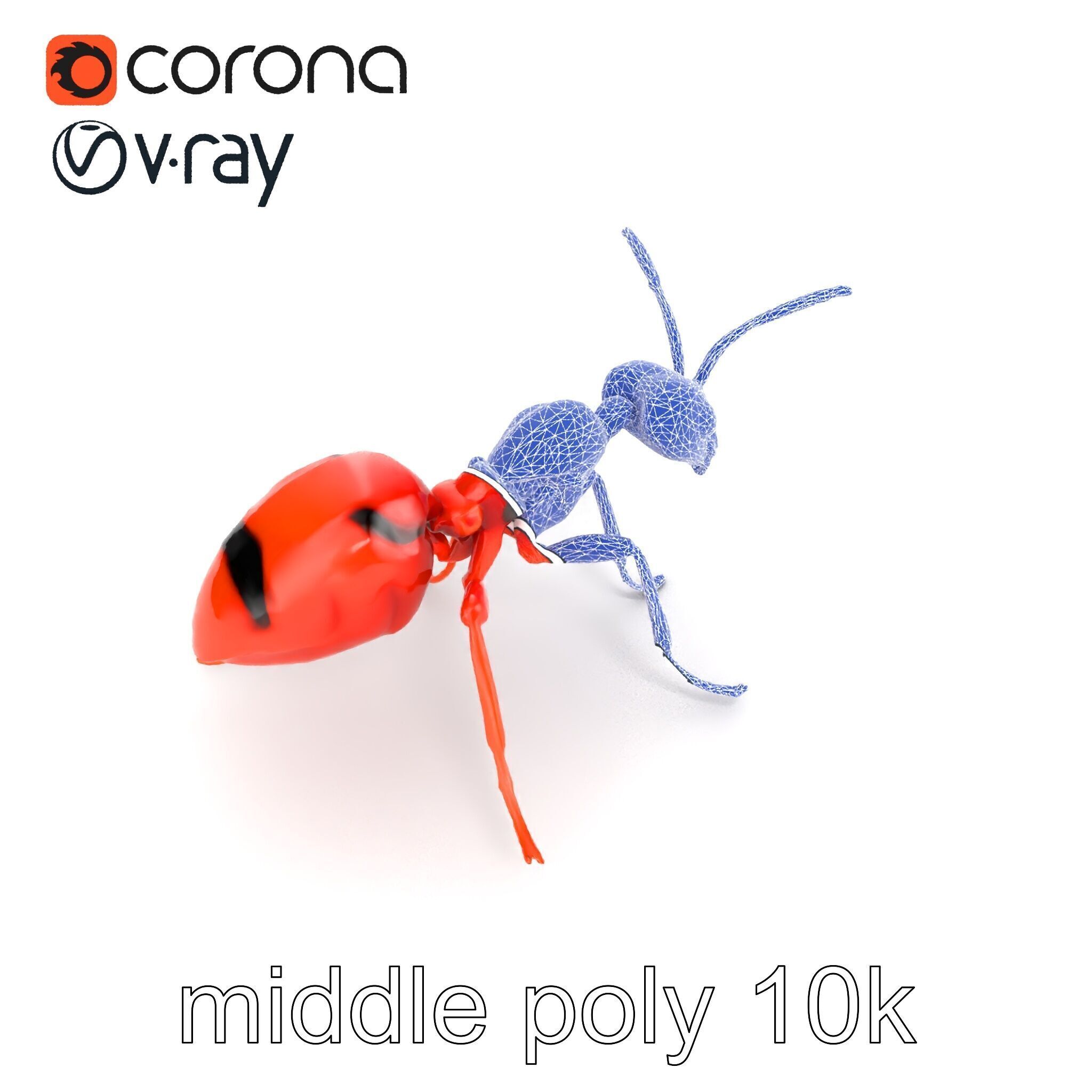 Red Soldier Ant Realistic 3D Model Pack Low-poly 3D model_22
