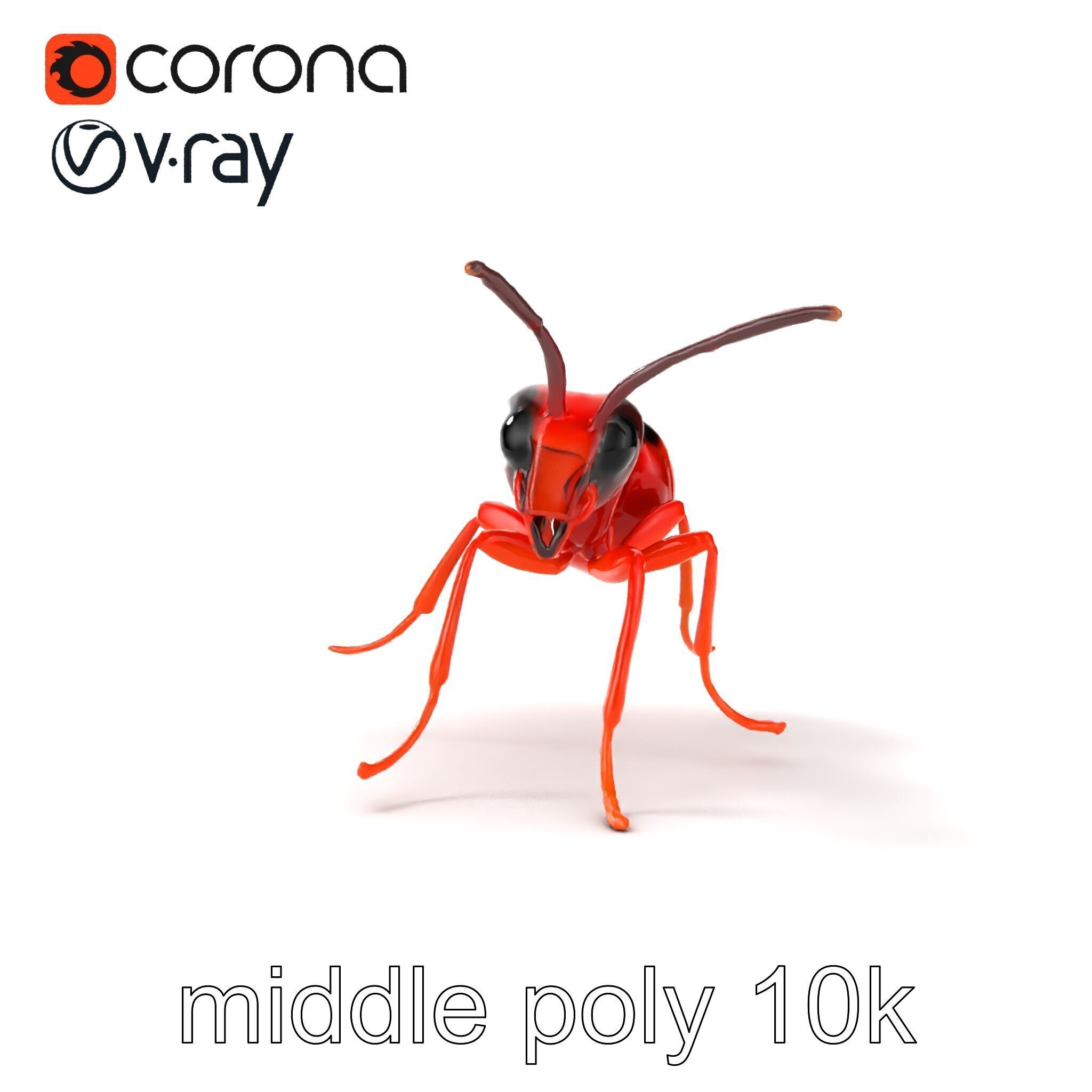 Red Soldier Ant Realistic 3D Model Pack Low-poly 3D model_15