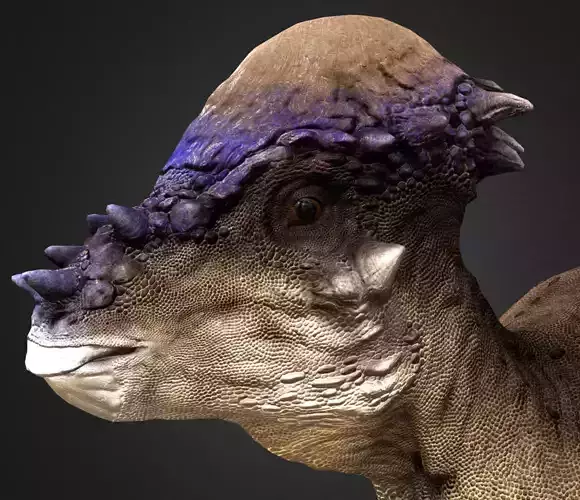Pachycephalosaurus  Low-poly 3D model