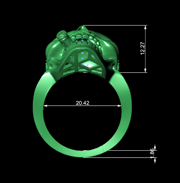 Ring zbrush  3D print model_3