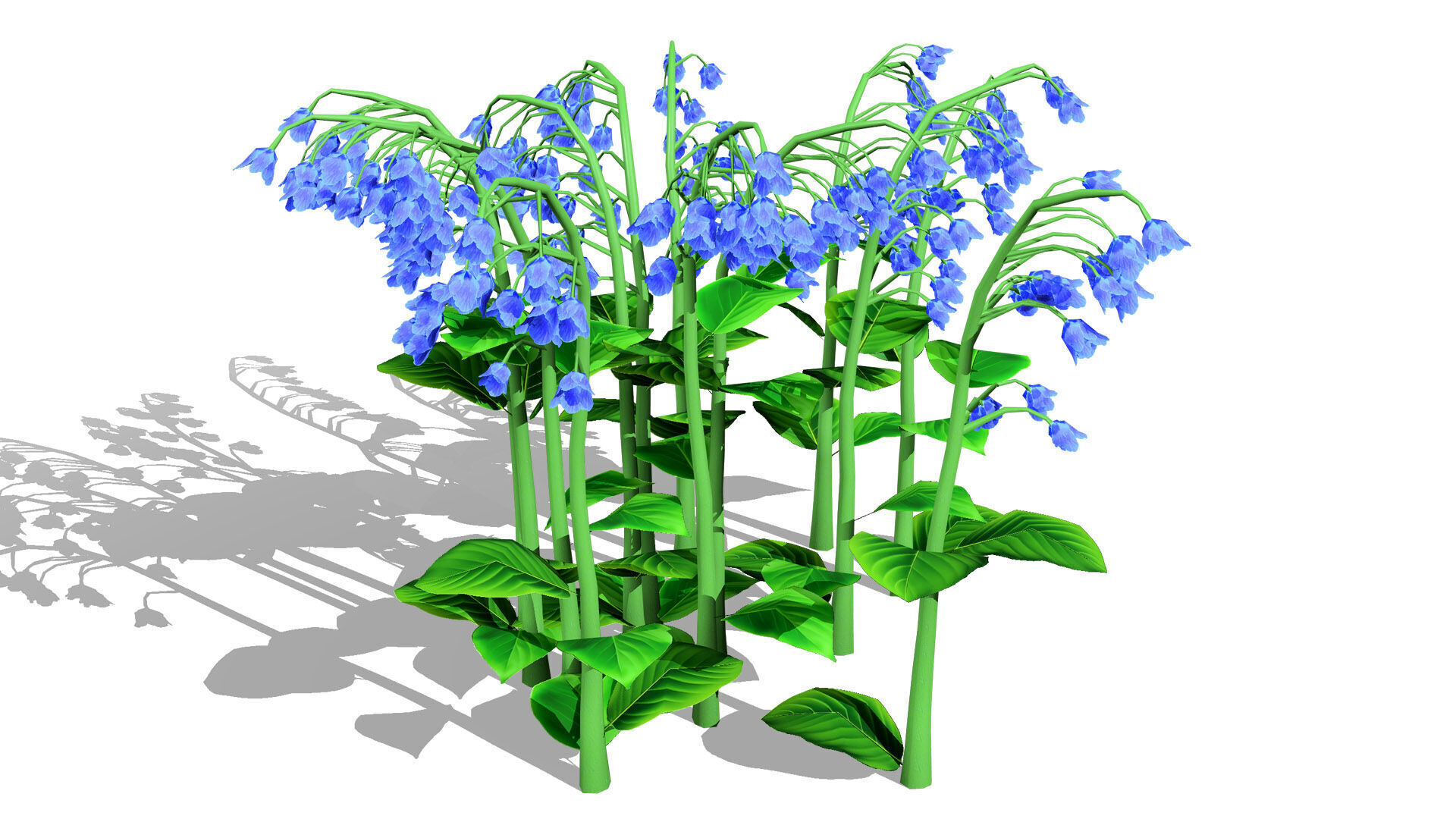 Australian Bluebell Flowers Low-poly 3D model_4