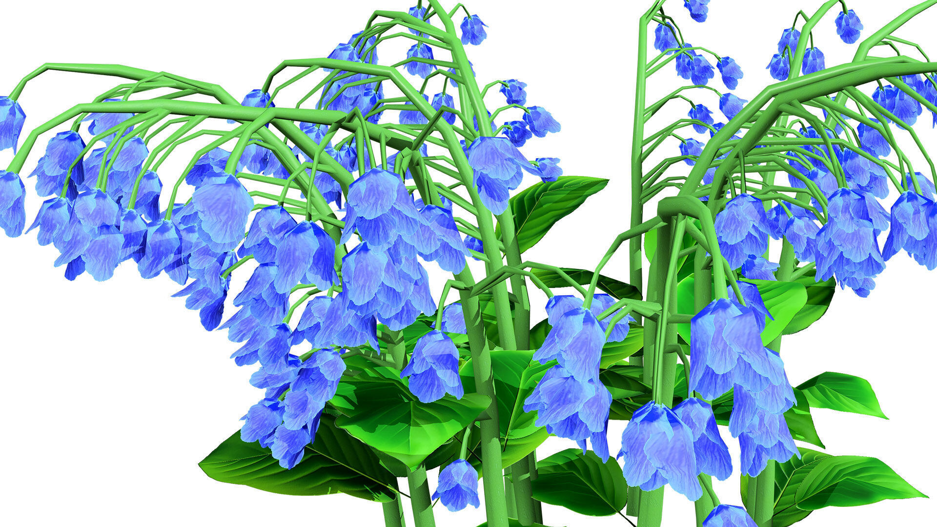 Australian Bluebell Flowers Low-poly 3D model_5