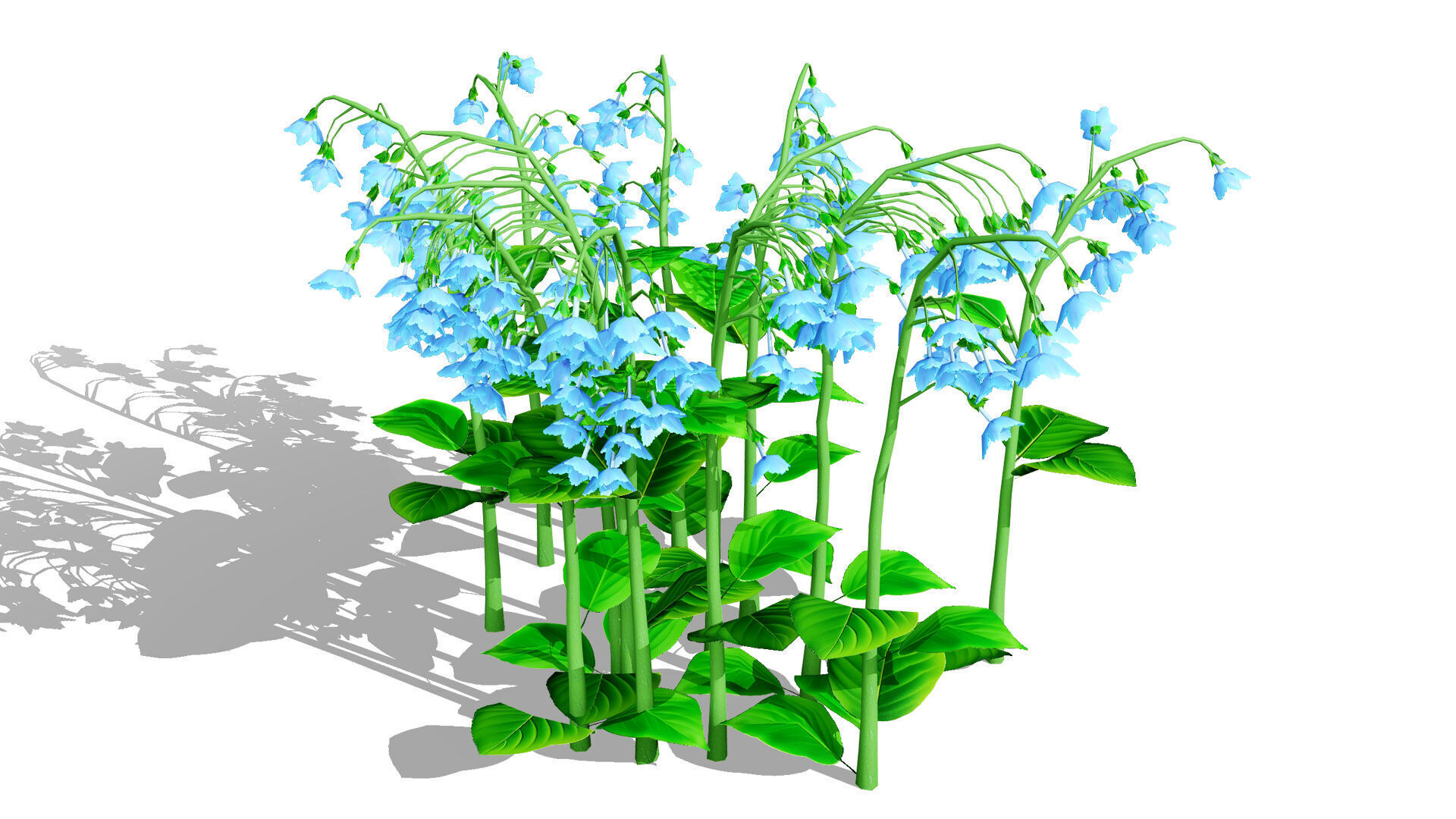 Australian Bluebell Flowers Low-poly 3D model_2