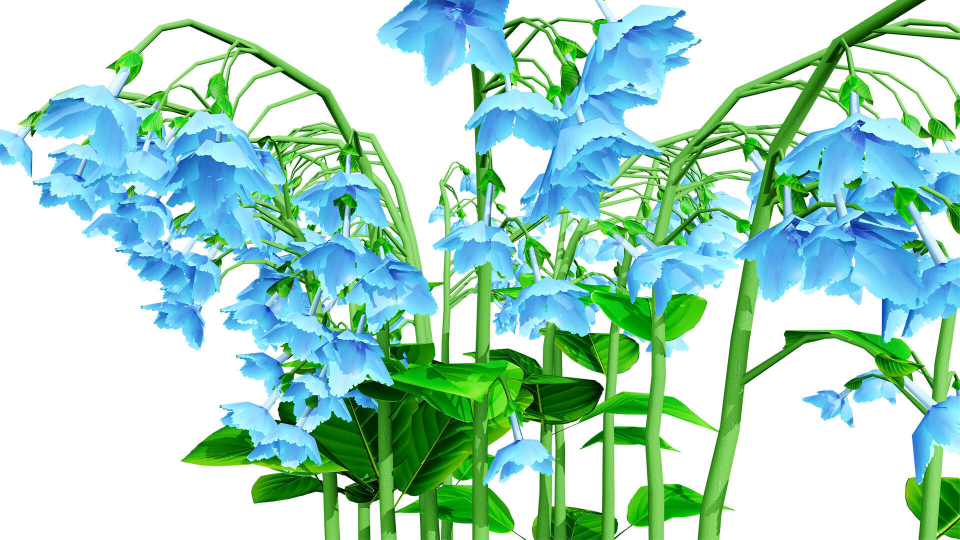 Australian Bluebell Flowers Low-poly 3D model_3