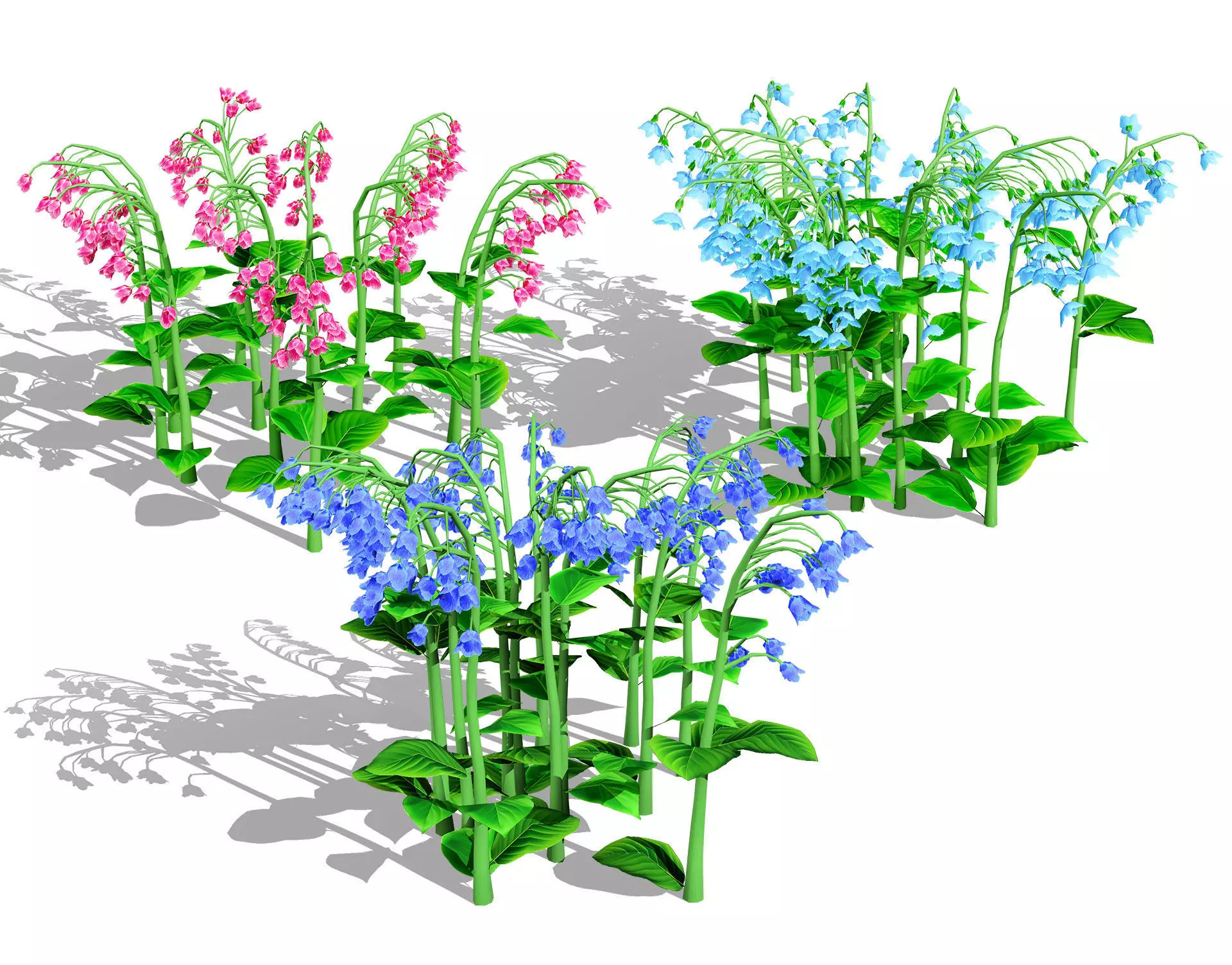 Australian Bluebell Flowers Low-poly 3D model_0