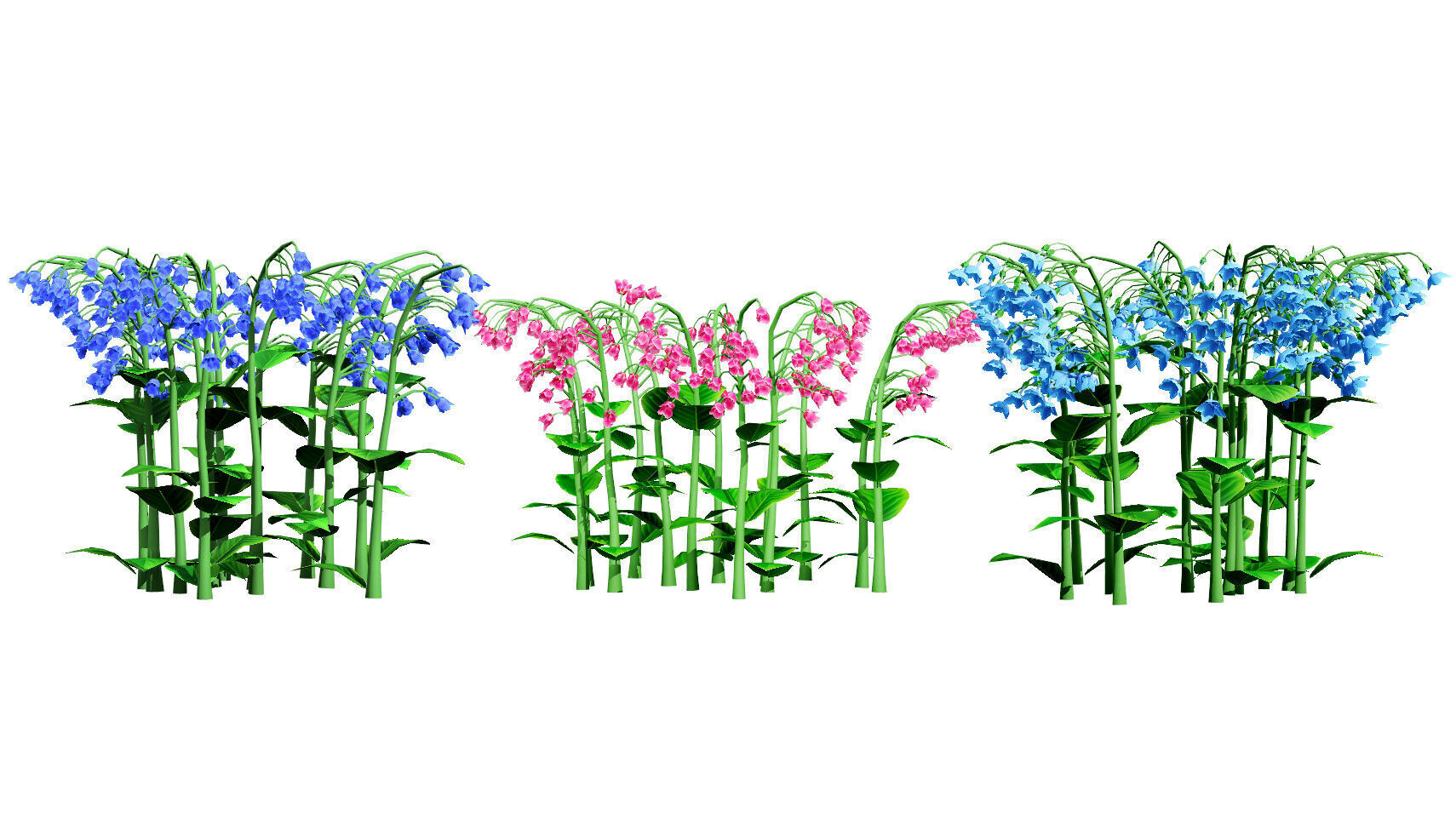 Australian Bluebell Flowers Low-poly 3D model_9