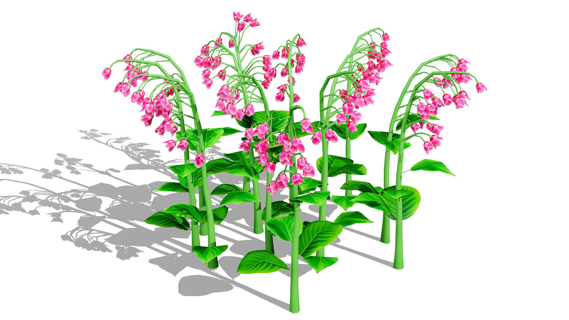 Australian Bluebell Flowers Low-poly 3D model_6